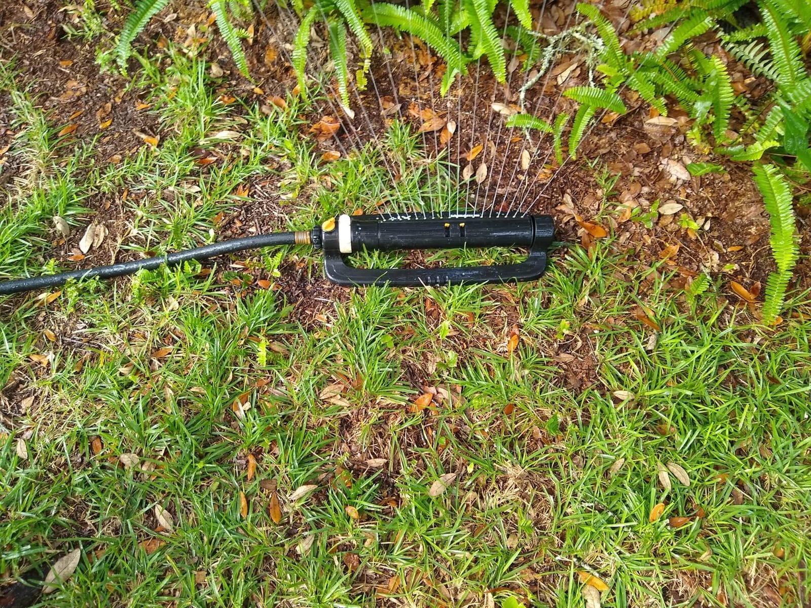 Hozon Siphon Mixer - Mixes at a 1:16 Ratio, Connects to Garden Hose customer photo 1