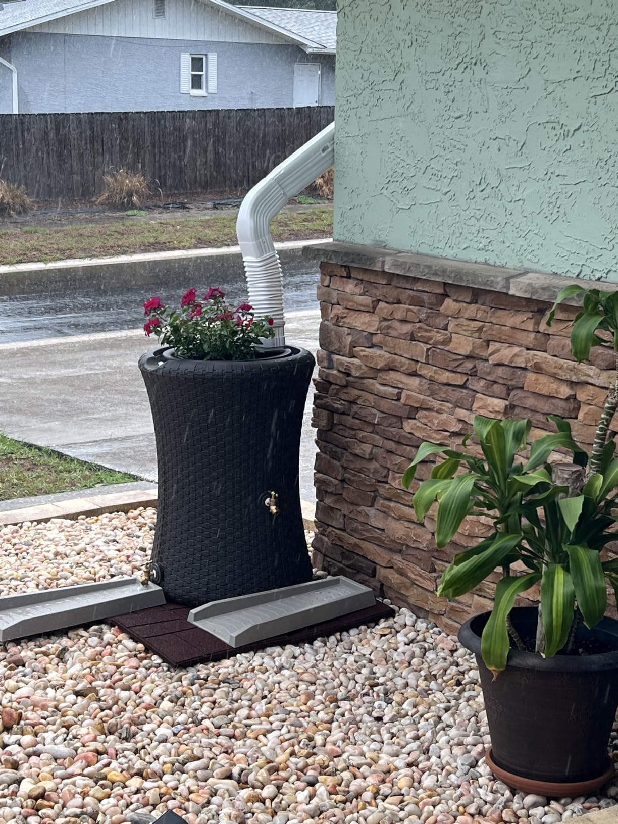 Good Ideas Impressions Nantucket Rain Water Collection Barrel, 50 Gallon | Dark Brown Rainwater Catcher, Outdoor Home Water Storage Collector with Garden Planter and Metal Spigots customer photo 2