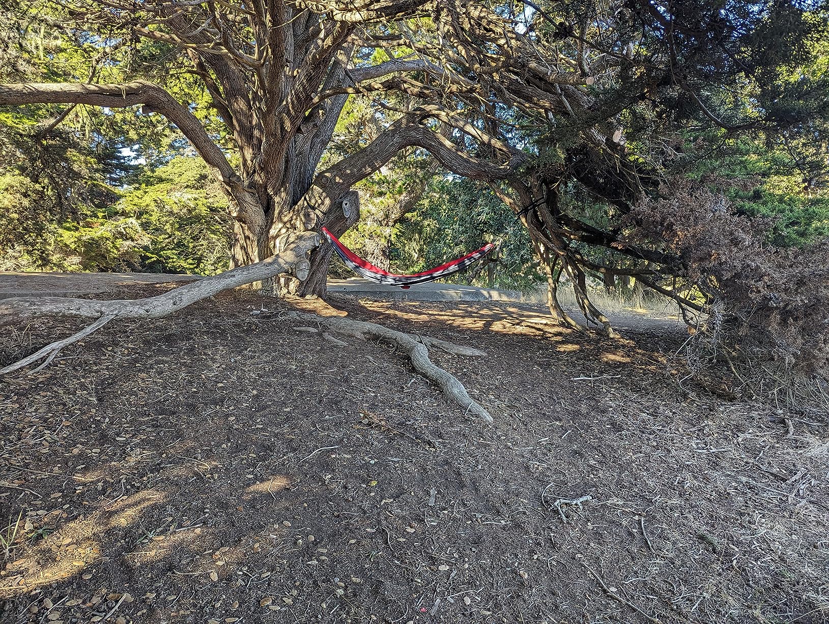 Wise Owl Outfitters Camping Hammock - up to 500lbs Portable Hammock with Tree Straps - Travel, Backpacking, Hiking, Outdoors Camping Gear - Single or Double customer photo 1