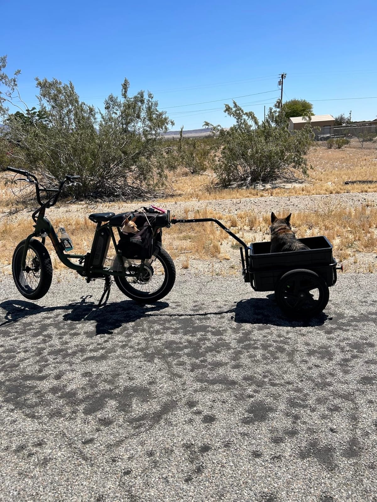 Aosom Bicycle Cargo Trailer with Waterproof Cover, Bike Wagon Trailer | Removable Box, Two 16in Wheels customer photo 1