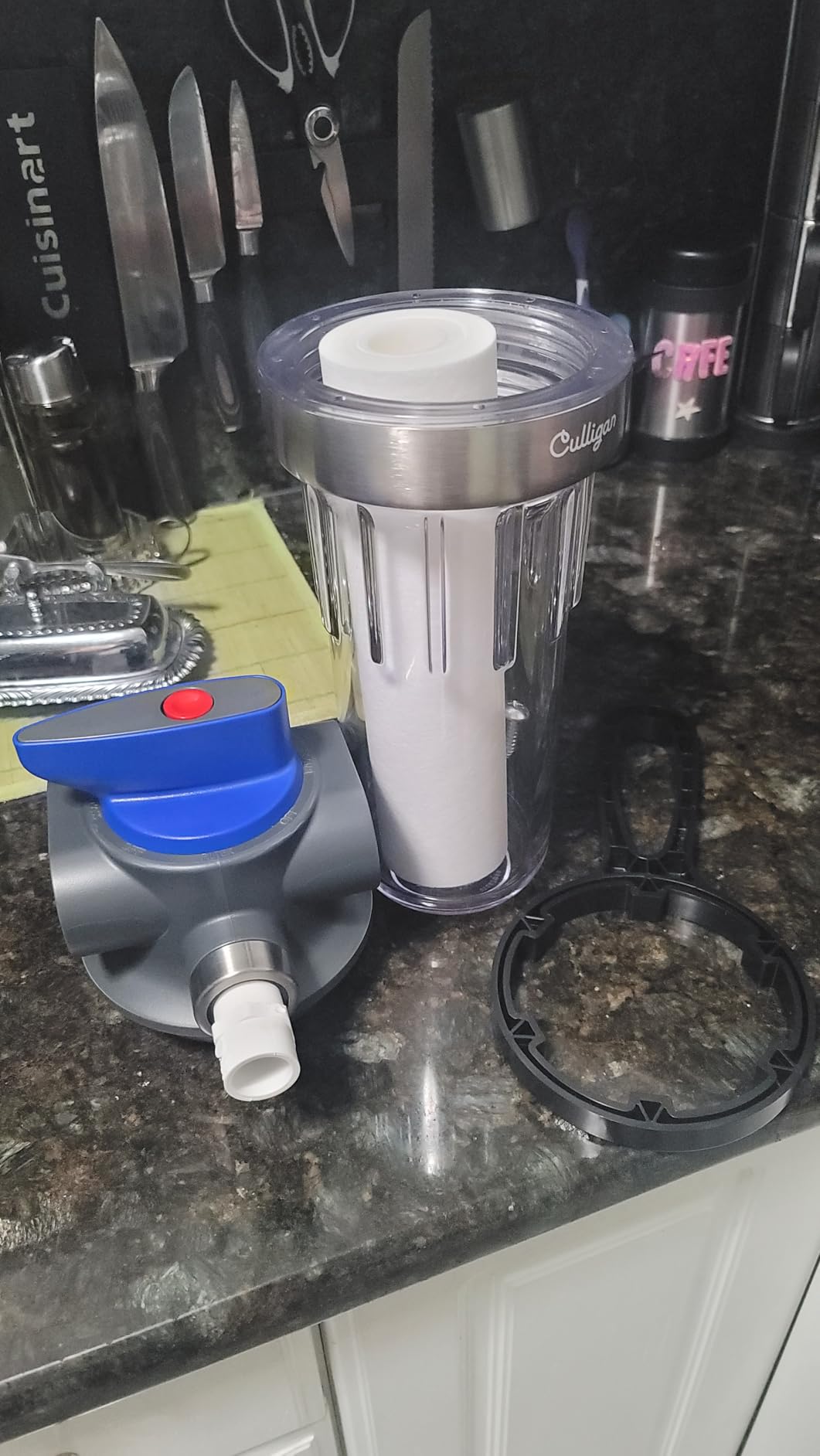 Culligan WH-S200-C Whole House Water Filter Housing - 3/4