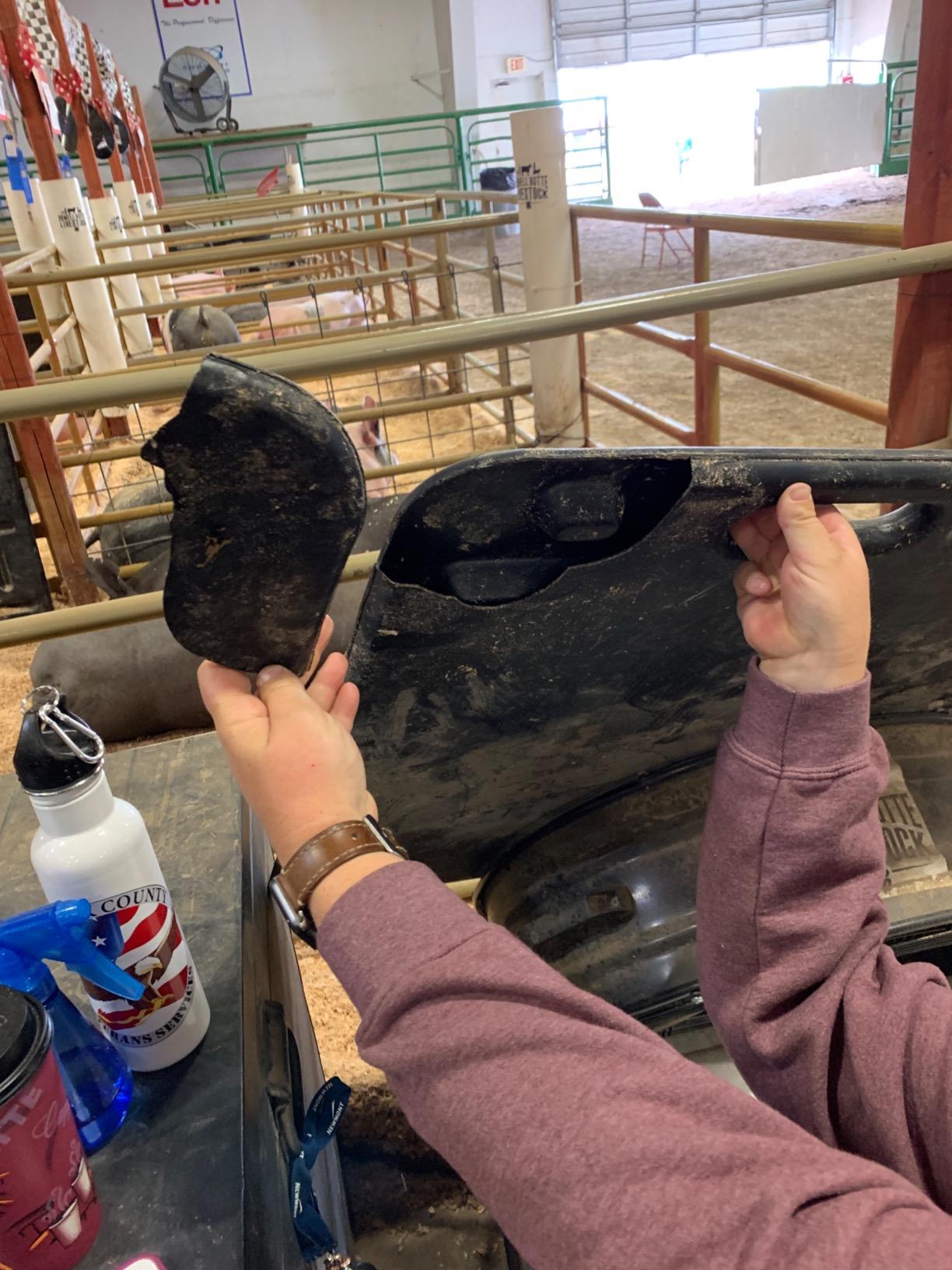 Weaver Livestock Sorting Panel, Lightweight Pig Board, Animal Guide Panel for Home & Show Use, Durable Livestock Panel for Cattle, Sheep, Goats & More customer photo 2