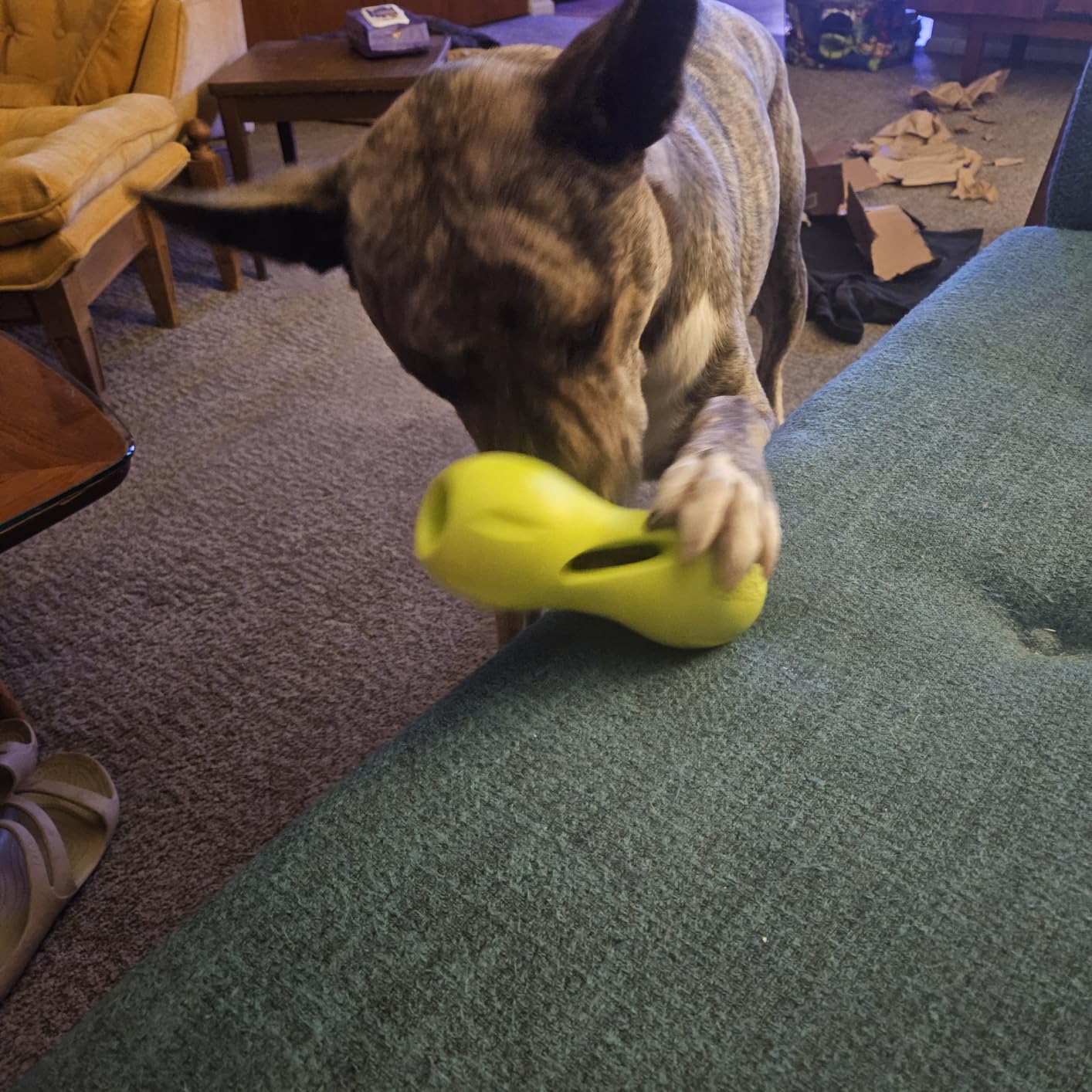 West Paw Zogoflex Qwizl Interactive Treat Dispensing Dog Puzzle Treat Toy for Dogs, Granny Smith, Large customer photo 1