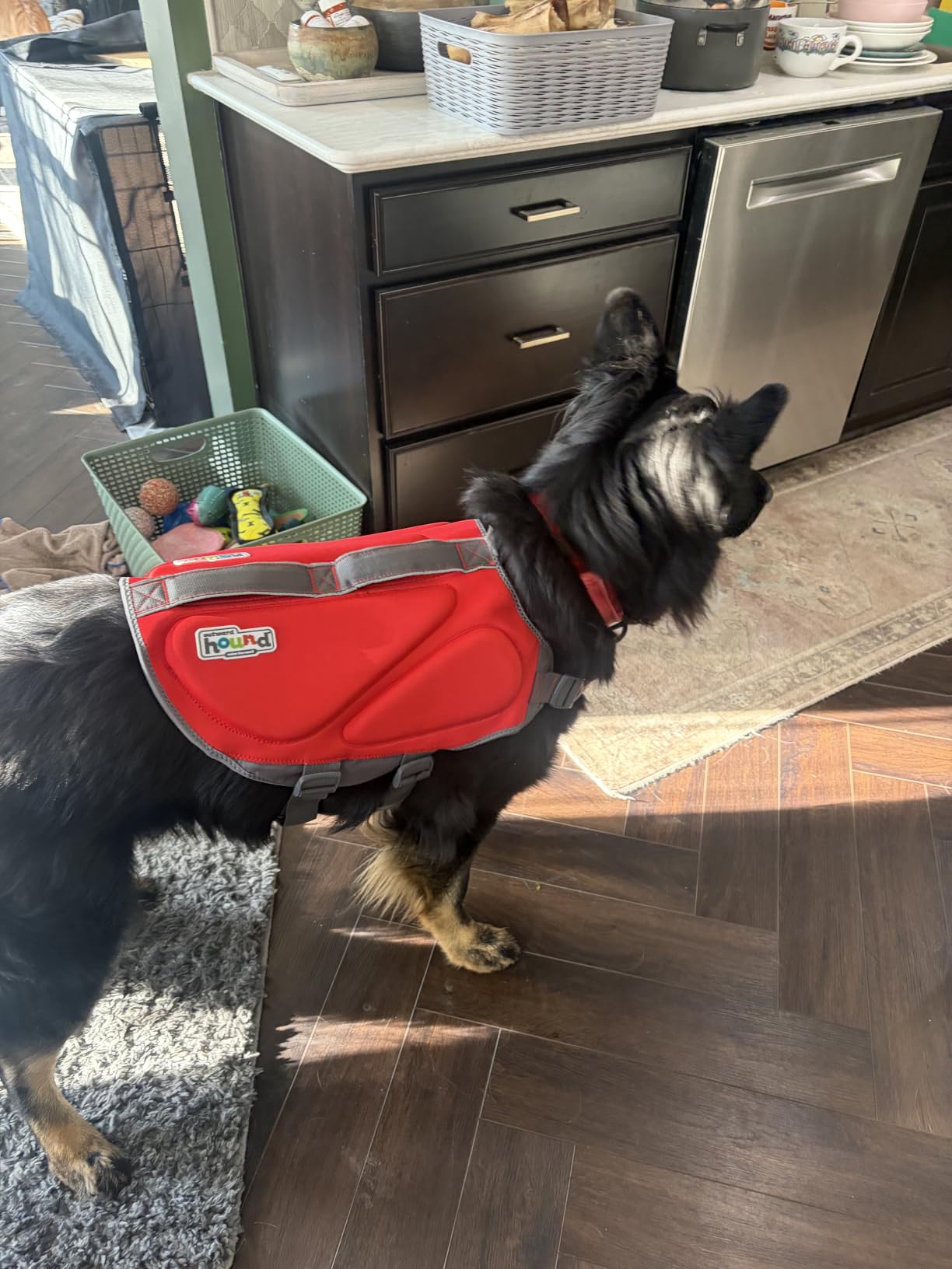 Outward Hound Dawson Swim Dog Life Jacket, Life Vest, Red, Medium customer photo 1