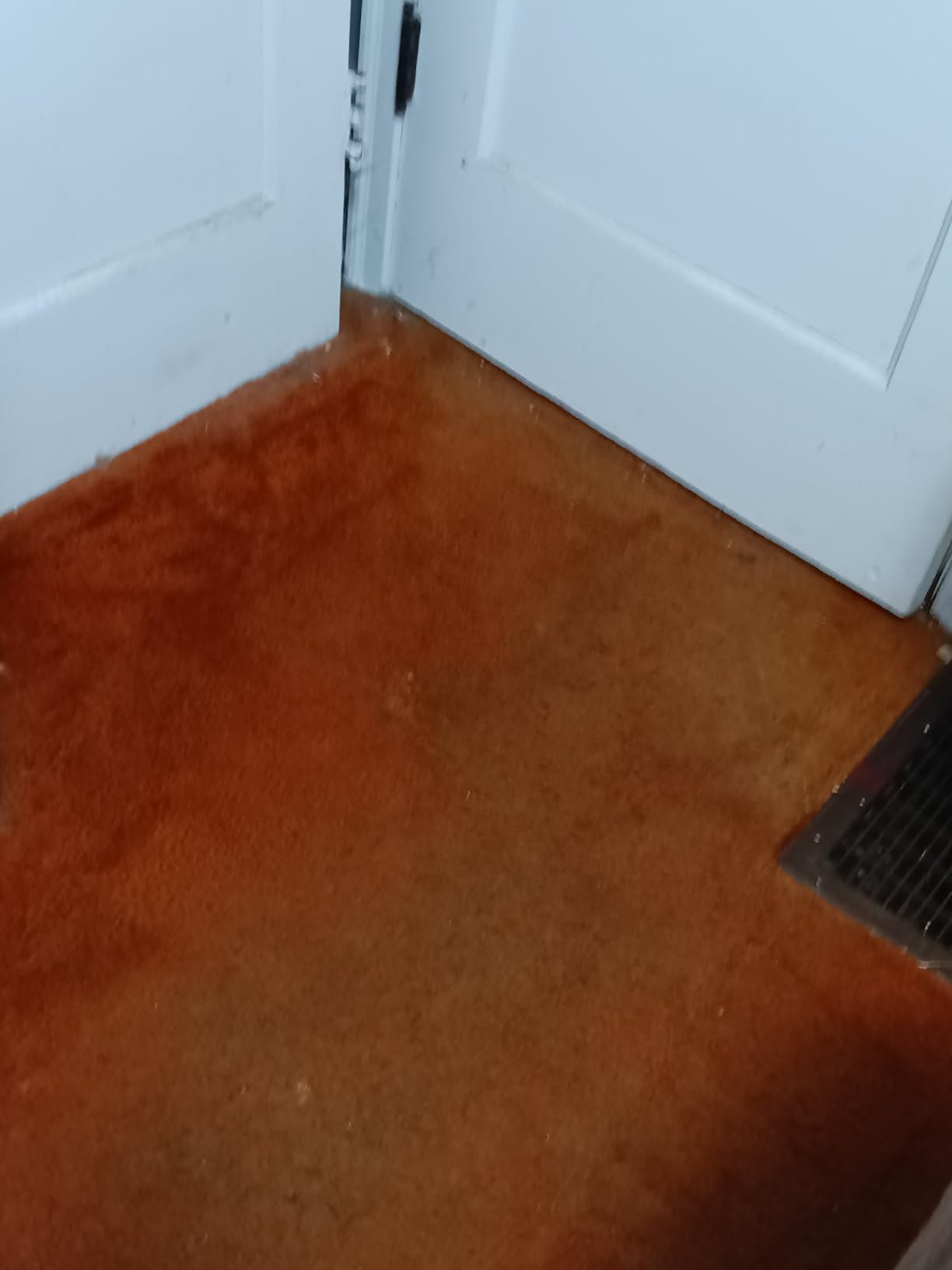 BLACK+DECKER Carpet Sweeper 50 Minute Lithium Floor Sweeper, Multi-Surface Use, Easy One Hand Cleaning, Self Standing, Charger Included (HFS115J10) customer photo 2