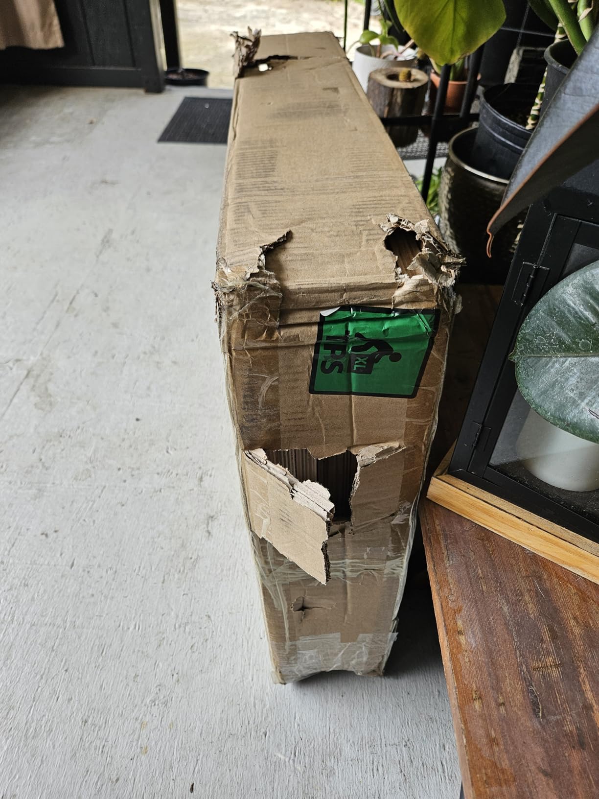 Synergee 3 in 1 Wood Plyo Box - Multiple Sizes customer photo 2