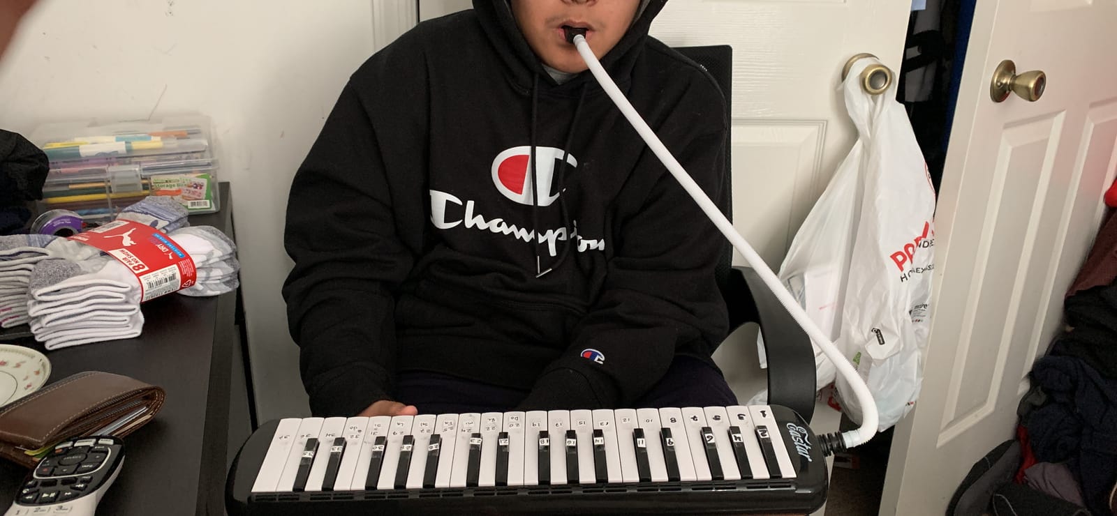 Eastar 37-Key Melodica Beginners Air Piano Keyboard, Tubes & Case, Black customer photo 1