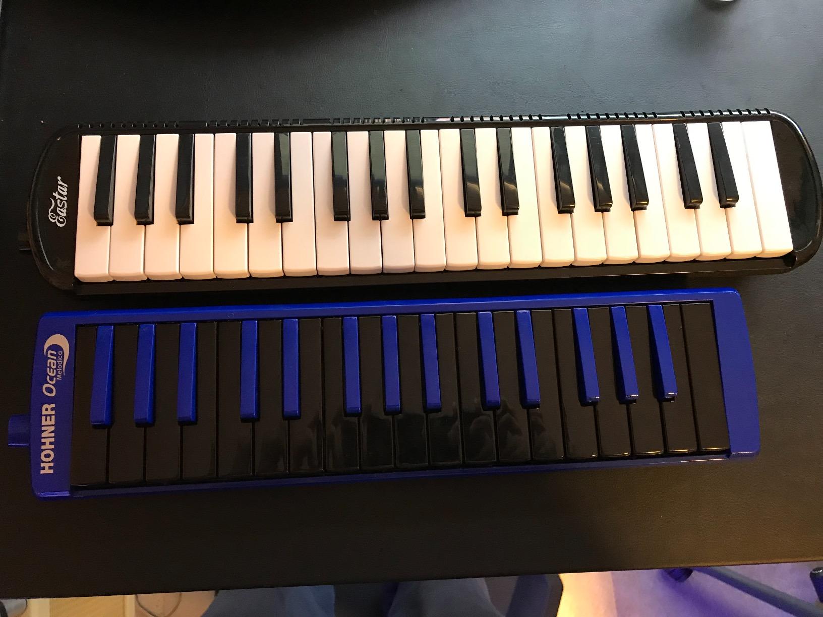 Eastar 37-Key Melodica Beginners Air Piano Keyboard, Tubes & Case, Black customer photo 2