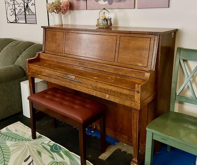 Bonnlo Adjustable Black Piano Bench with Storage Faux Leather Wooden Piano Stool customer photo 1