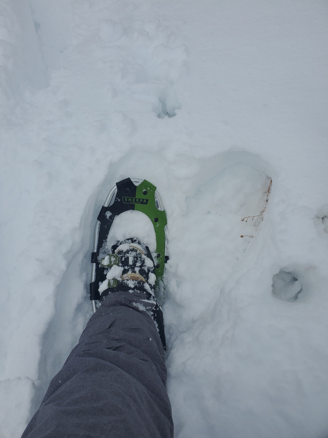 Yukon Charlie's Sherpa Snowshoe customer photo 1