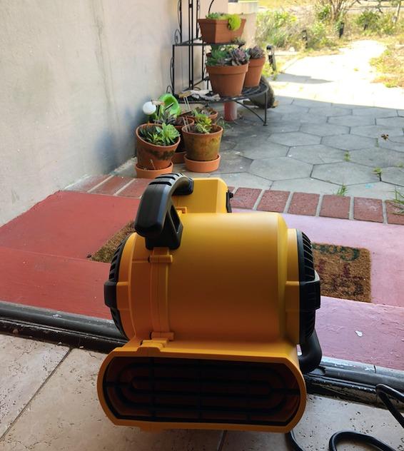 DEWALT Portable Air Mover, 276W 3 Speed Floor Fan, Utility Blower Fan, 1/5 HP 600 CFM Floor Dryer, Carpet Dryer, Floor Fan, Blower, for Janitorial, Home, Commercial Use, DXAM-2260 customer photo 1