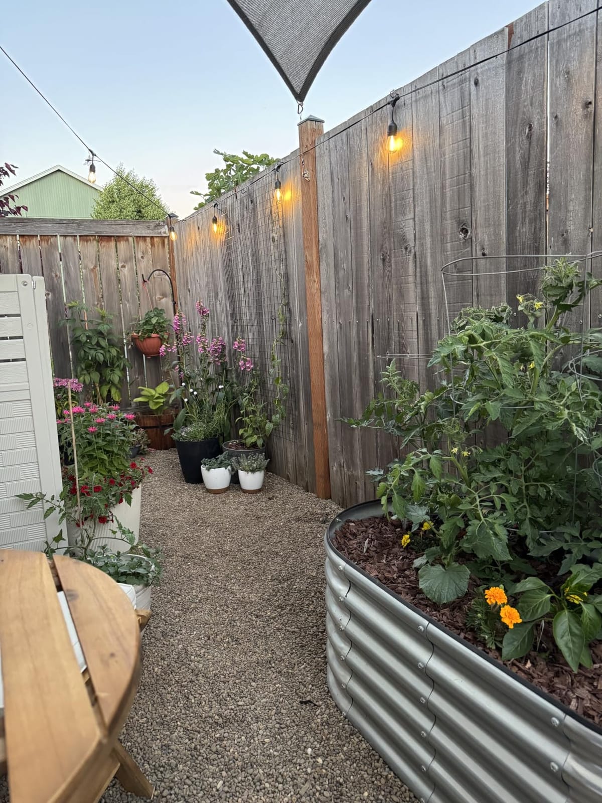 Rain Bird LNDDRIPKIT Drip Irrigation Kit customer photo 1
