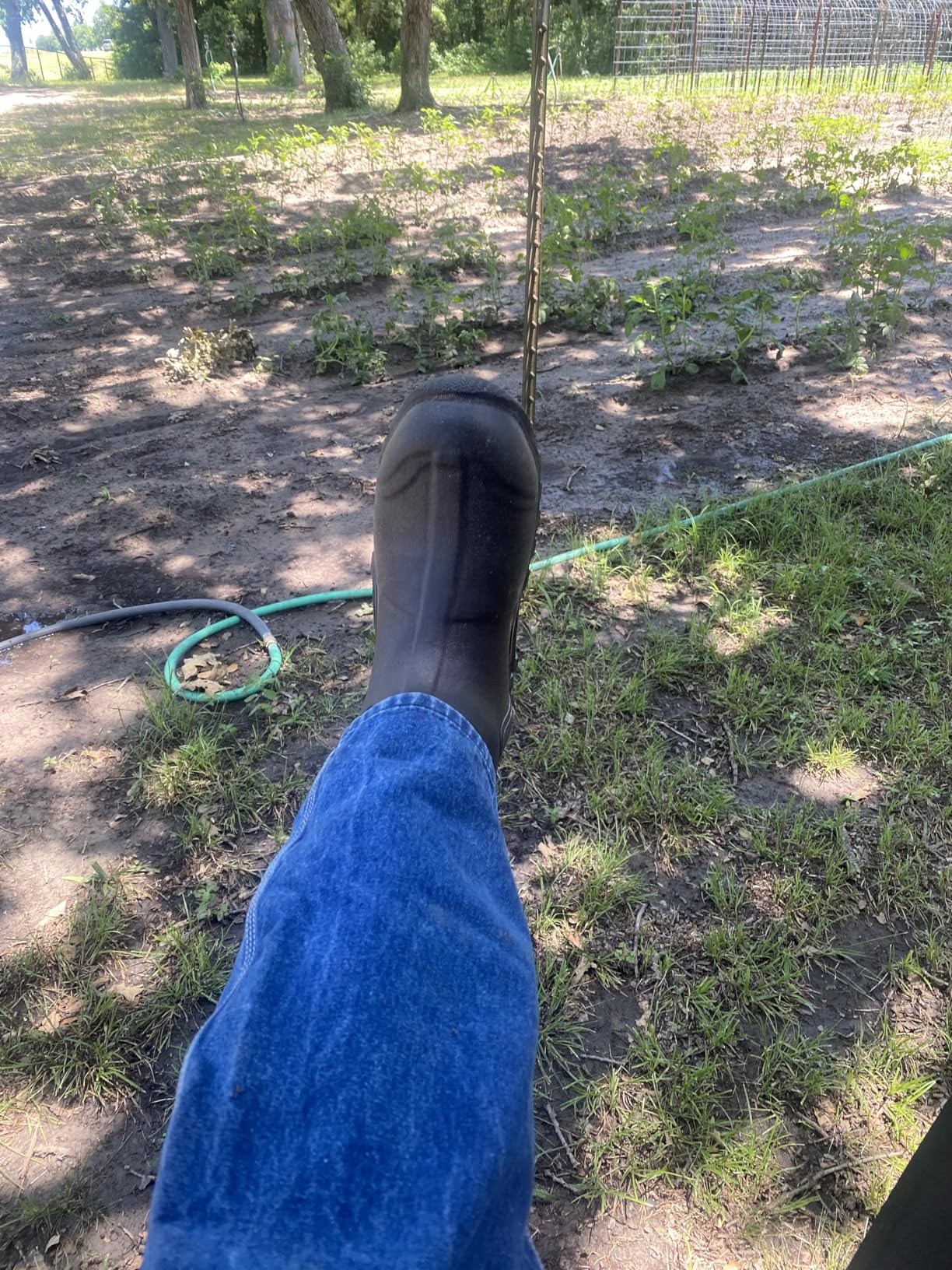 MUCK Men's Edgewater Classic Mid Boot customer photo 1