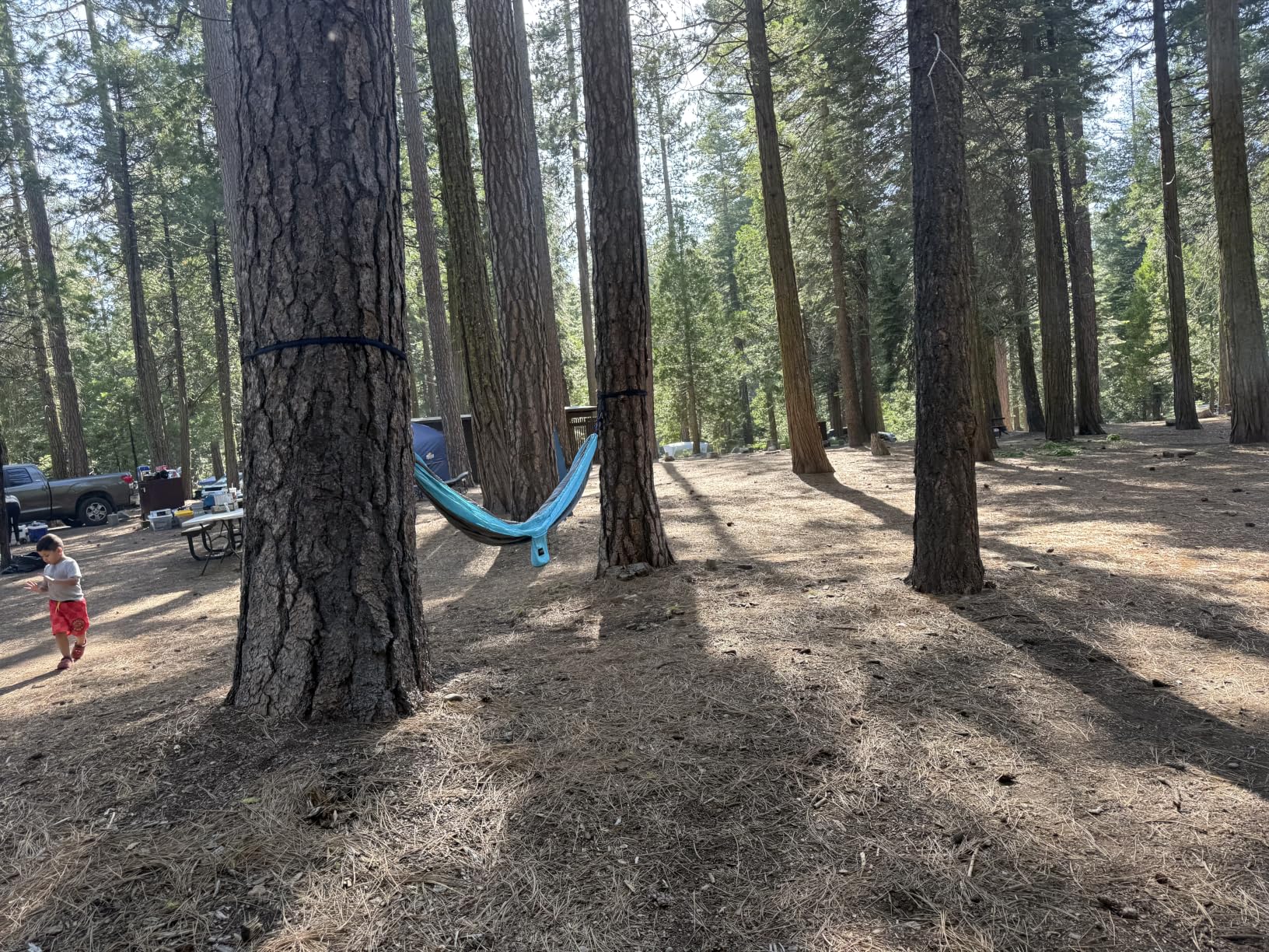 Kootek Camping Hammock 400lbs Capacity Outdoor Camping Essentials, Single | Outside&Indoors, Tree-Friendly Straps, Attached Carry Bag, 210T Parachute Nylon, D-Shaped Carabiners, Lightweight, Hand Wash customer photo 1