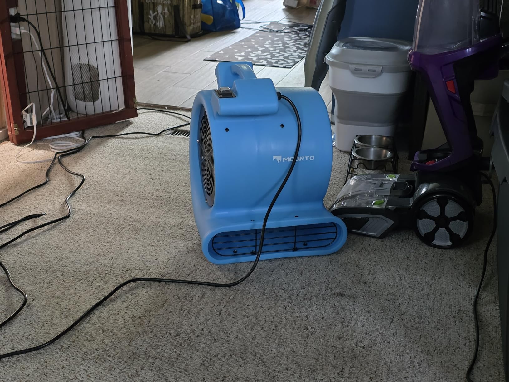 MOUNTO 1/2 HP Air Mover Floor Drying Blower Fan - Powerful 1/2HP Motor Carpet Dryer, 2200 CFM Air Flow, Lightweight Design, 2-Speed Settings for Drying, Cooling & Circulation customer photo 1