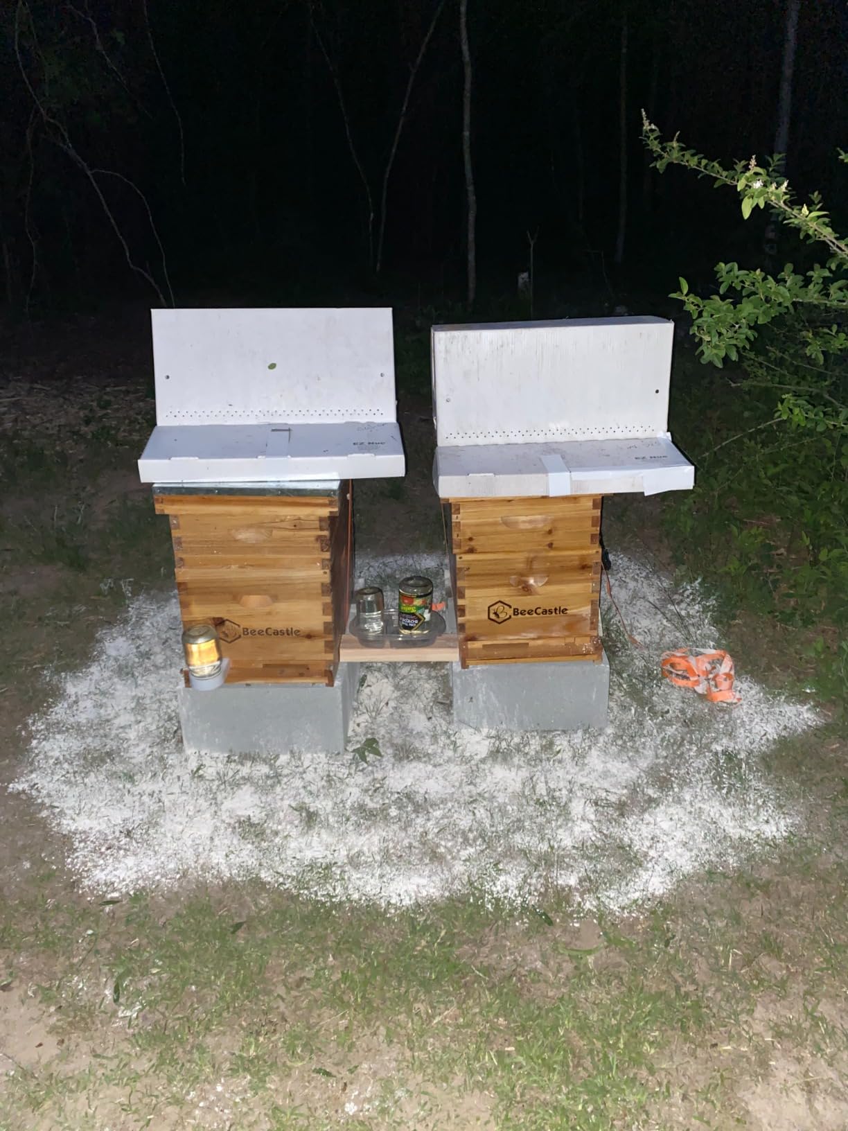 BeeCastle 8 Frame Langstroth Bee Hive Coated with Beeswax Includes Beehive Frames and Waxed Foundations (1 Deep Box & 1 Medium Box) customer photo 2