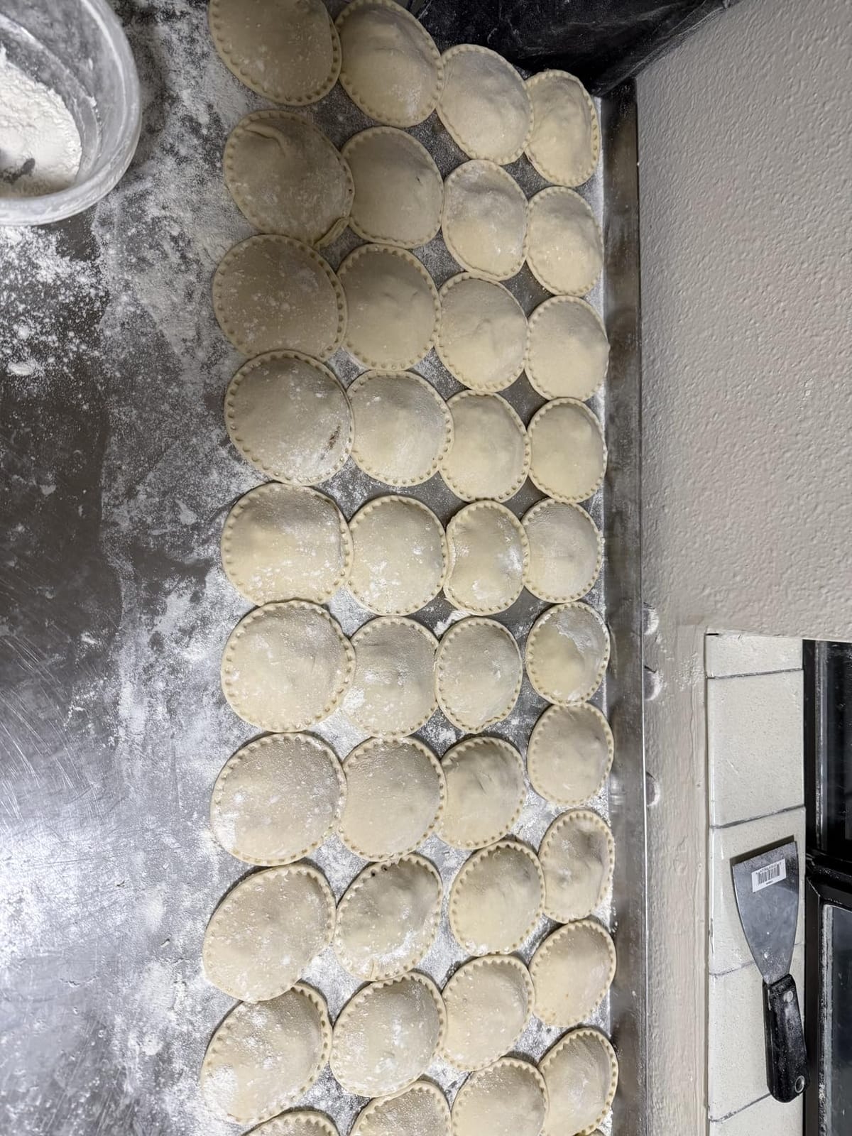 Pasta Maker Machine Electric Noodle Maker & Dumpling Machine customer photo 1