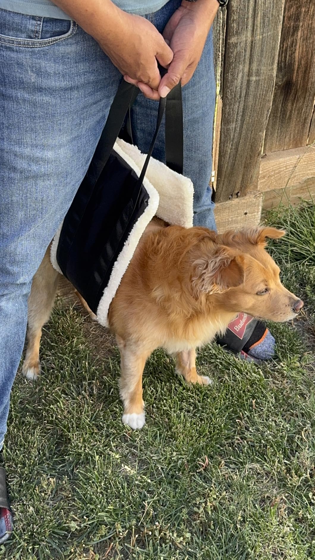 20-150lb Dog Sling for Large Dogs Hind Leg Support, Hevy Duty Portable Dog Lift Harness for Back Legs, Dog Hip Harness Large Breed, Dogs Lifter to Help Lift Rear for Senior/Injured Dog customer photo 2