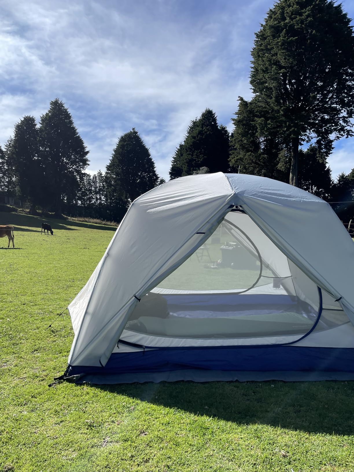 ALPS Mountaineering Acropolis Tent customer photo 2
