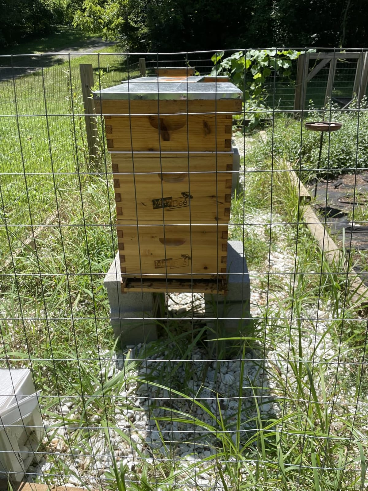10-Frame Langstroth Beehive Dipped in 100% Beeswax, Complete Bee Hives and Supplies Starter Kit Includes 2 Deep Hive Bee Boxes and 1 Bee Hive Super with Beehive Frames and Foundations customer photo 1