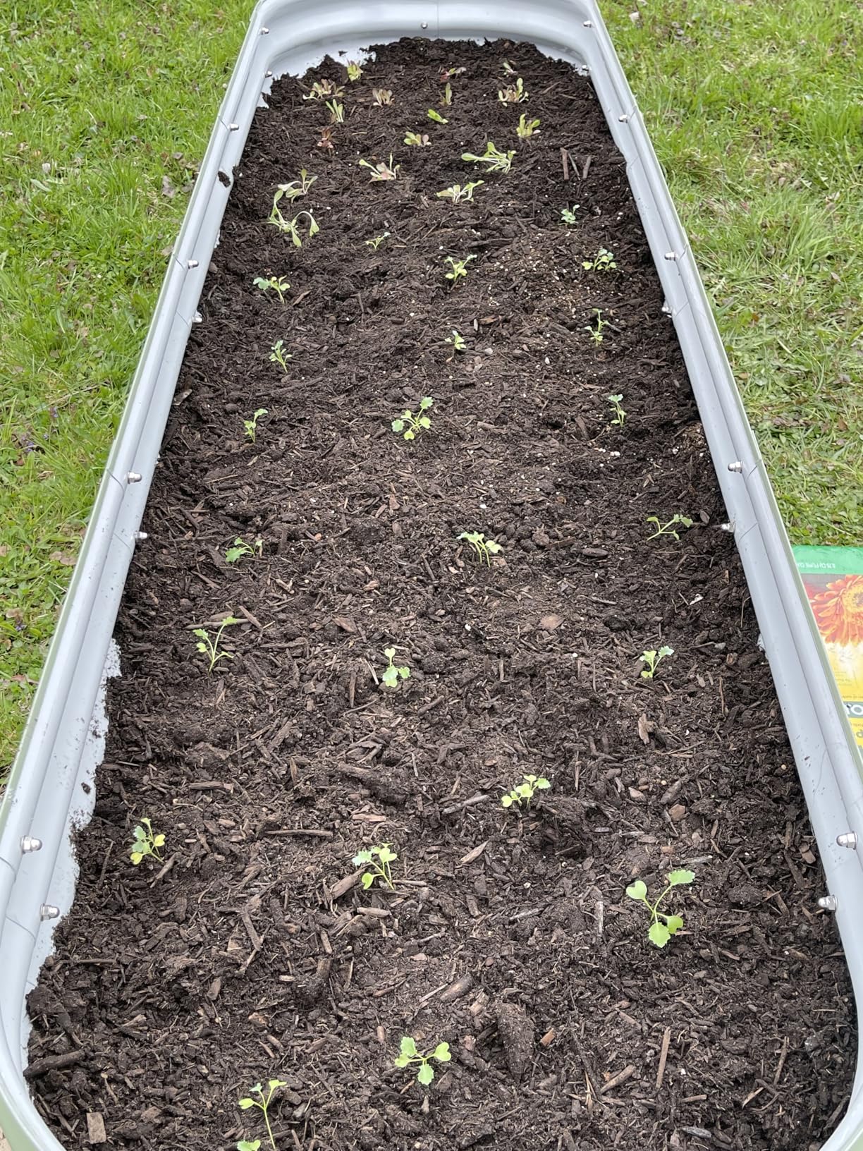 Vego Garden Raised Garden Bed Kits, 17