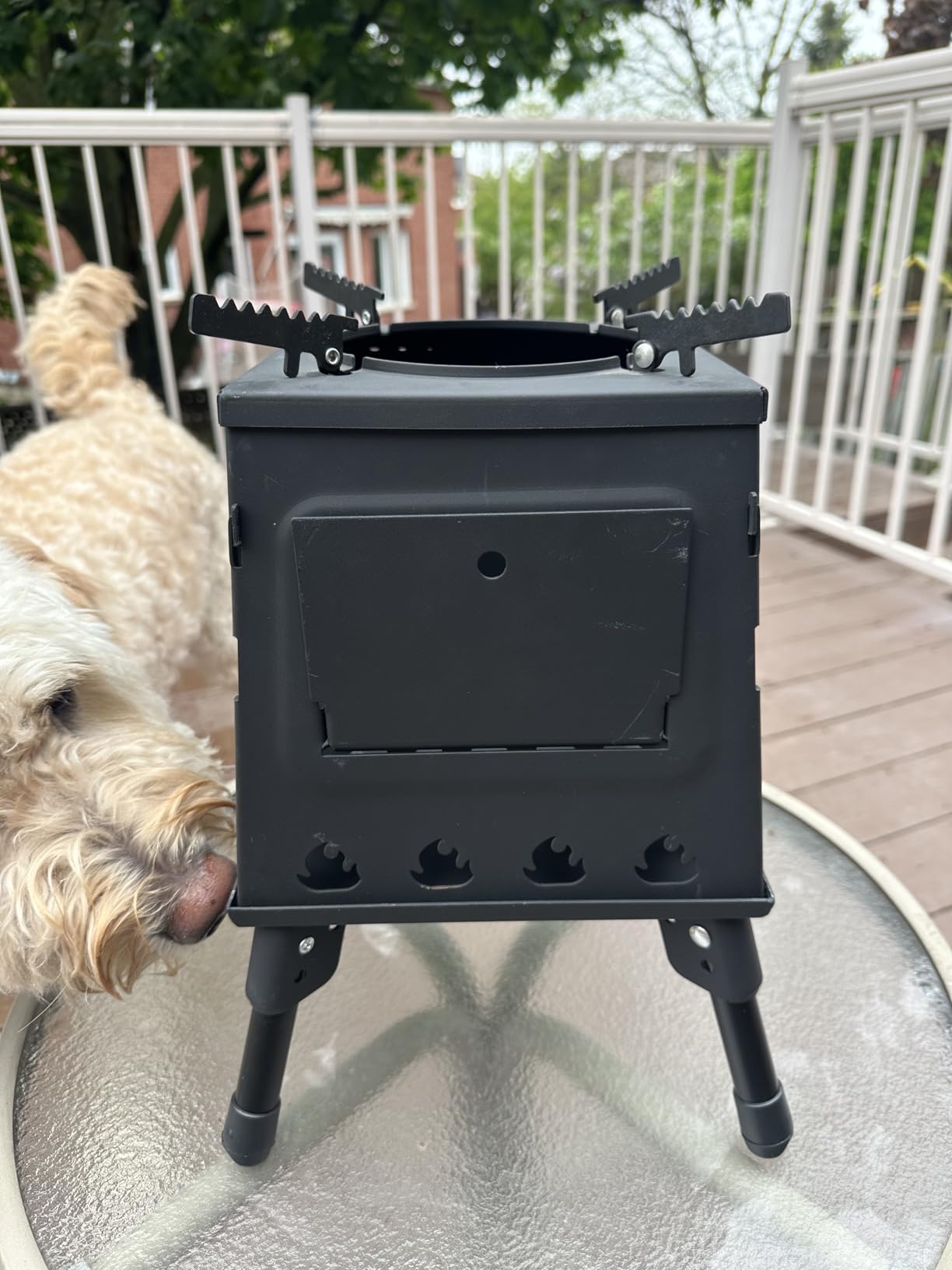 Wood Burning Camp Stove, Portable Cast Iron Camping Wood Stove, Black Woodstove with Carrying Case for Backpacking Outdoor Cooking customer photo 2