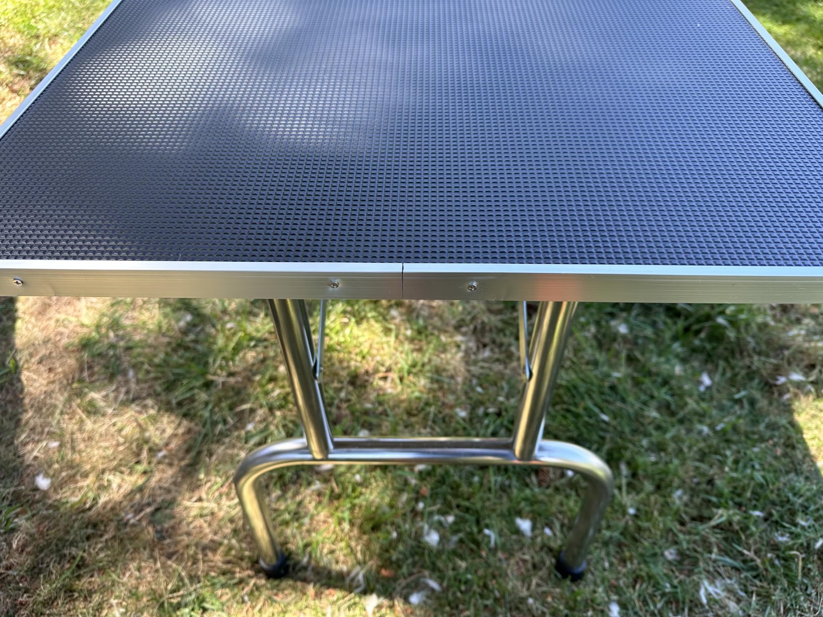 Lyromix 46''Large Dog Grooming Table, Adjustable Cat Drying Desktop with Arms, Nooses, Mesh Tray, Foldable Pet Station at Home, Maximum Capacity Up to 330Lb customer photo 1
