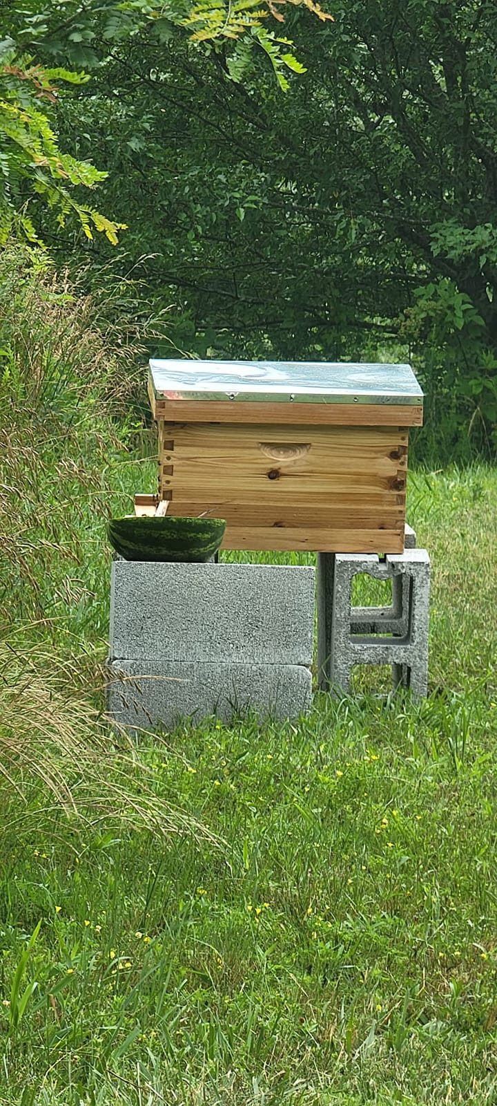 Honey Lake 10 Frame Beehive Starter Kit and Beekeeping Supplies Tool Kit, Beeswax Coated Assembled Deep Bee Box, Bee Hive Starter Kit with Beehive Frames & Bee Smoker and Beekeeping Hat with Veil customer photo 2