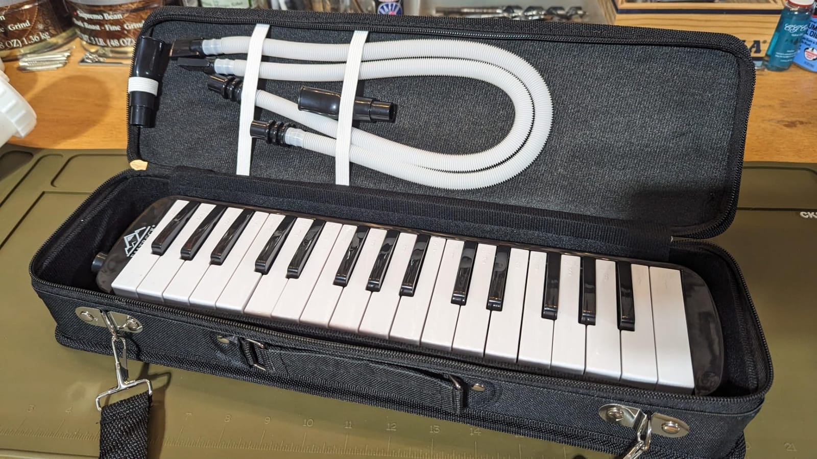 EastRock 32 Key Green Melodica Keyboard Soprano Piano Instrument with Case | Phosphor Bronze Reeds ABS Resin with Mouthpiece Tube Sets and Carrying Bag for Beginners Adults Gift customer photo 2