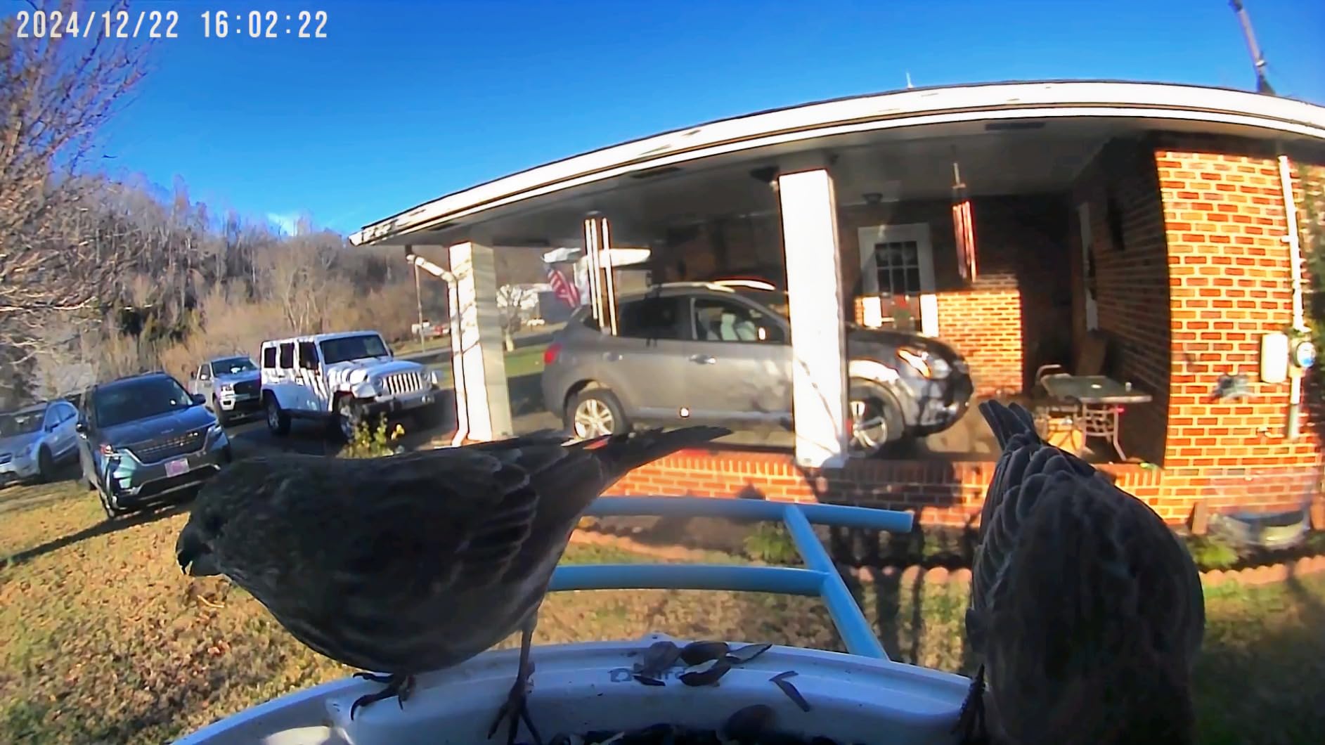 NETVUE by Birdfy Smart Bird Feeder with 2K AI Camera customer photo 2