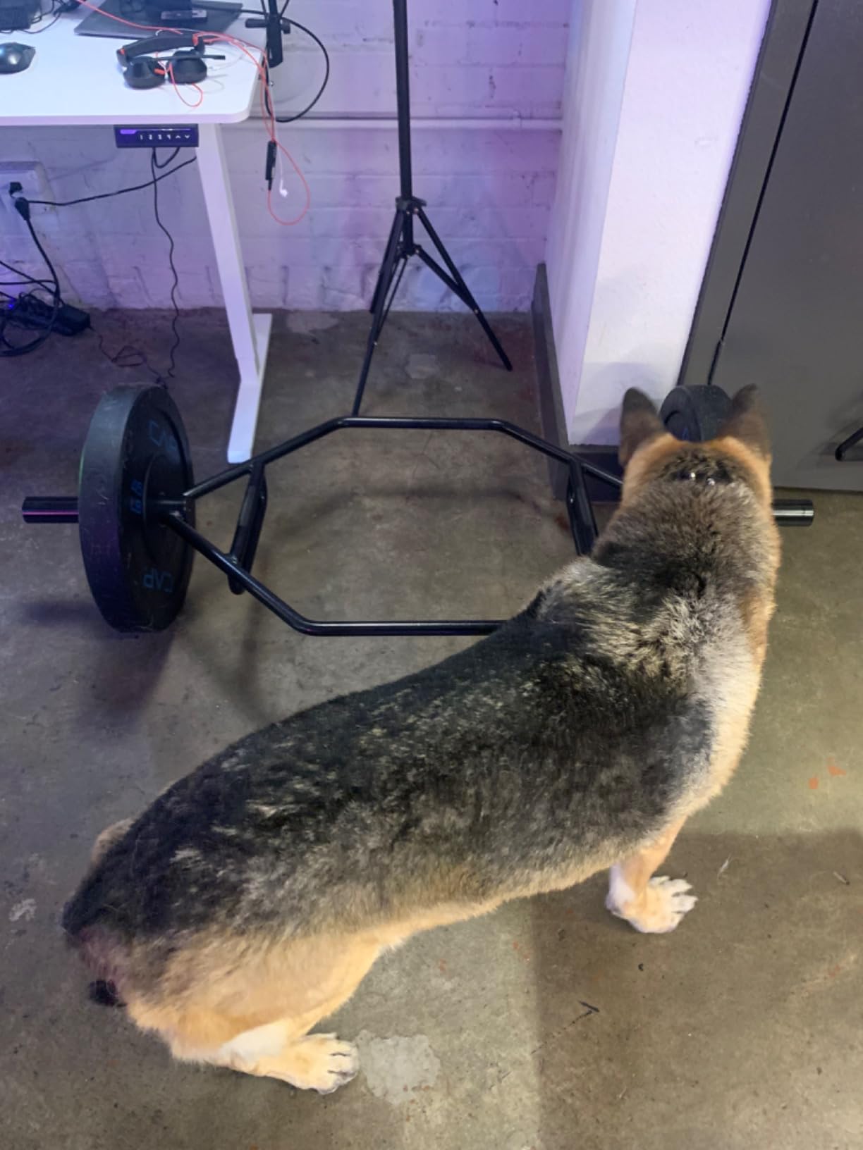 CAP Olympic Trap Bar | Heavy-Duty Hex Shrug & Deadlift Weight Bar customer photo 1