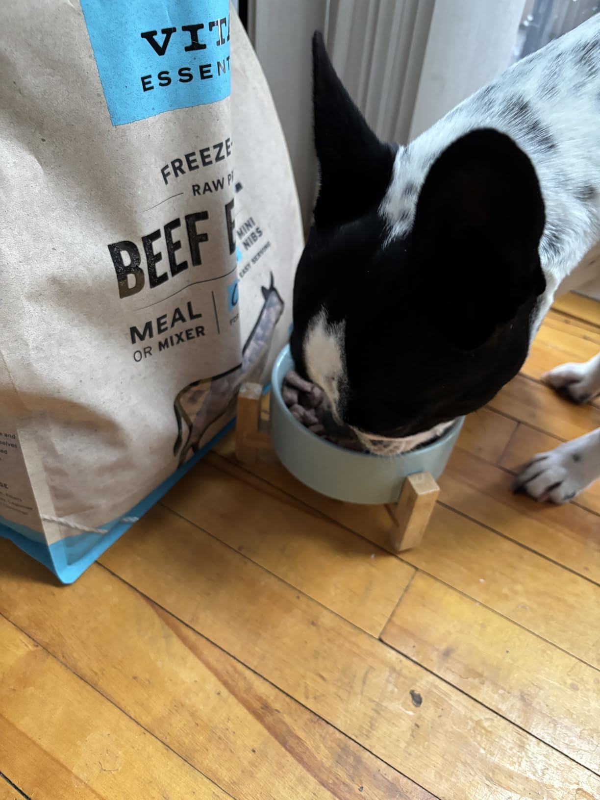 Vital Essentials Freeze Dried Dog Food, Beef Mini Nibs, 25 oz Bag | Crunchy, Complete Meal or Topper, Made With 96% Beef, Organs & Bone, High Protein Raw Nutrition, Grain-Free Recipe customer photo 2