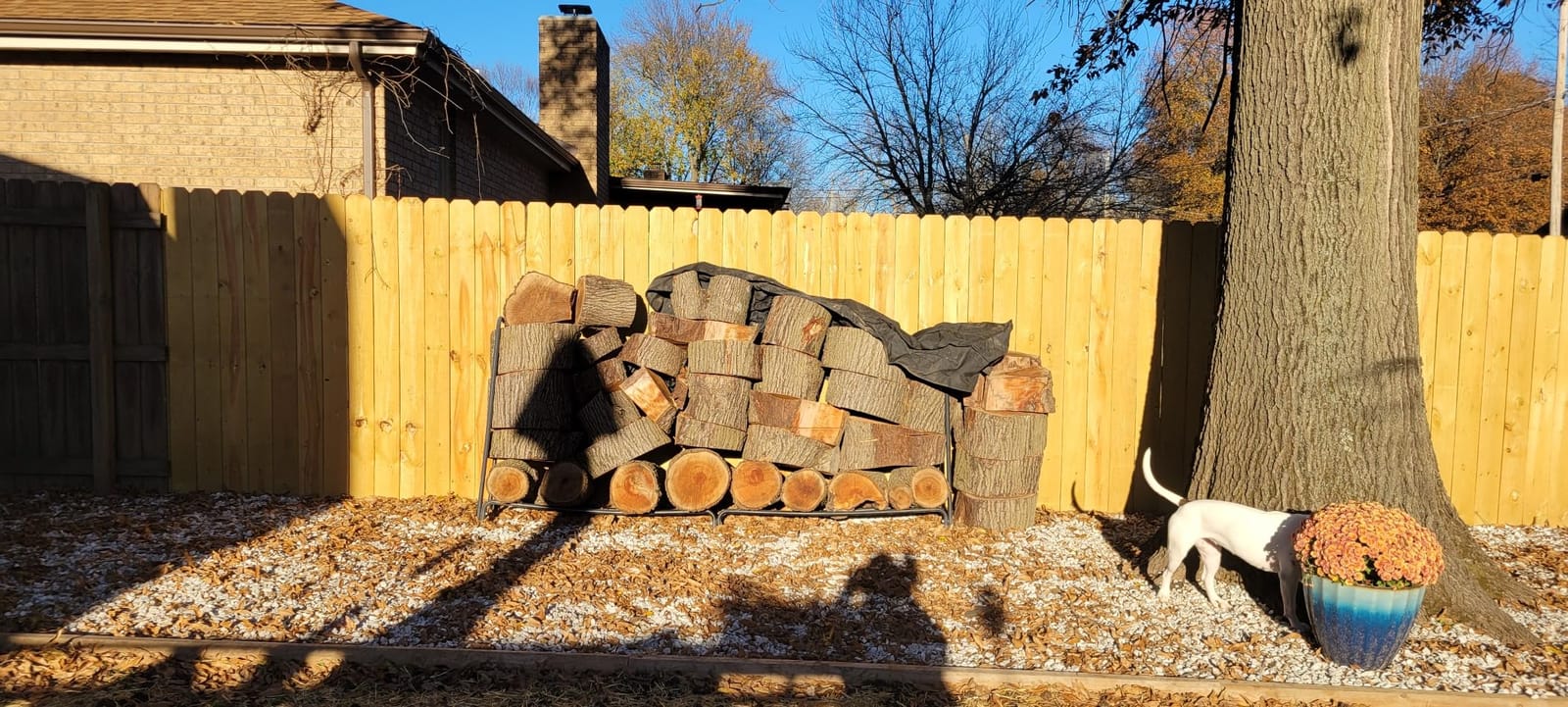 VEVOR 12.7FT Outdoor Firewood Rack with Cover, 152x14.2x46.1in, Heavy Duty Firewood Holder & 600D Oxford Waterproof Cover for Fireplace, Patio, Indoor/Outdoor Log Storage Rack for 3/4 Cord of Firewood customer photo 1