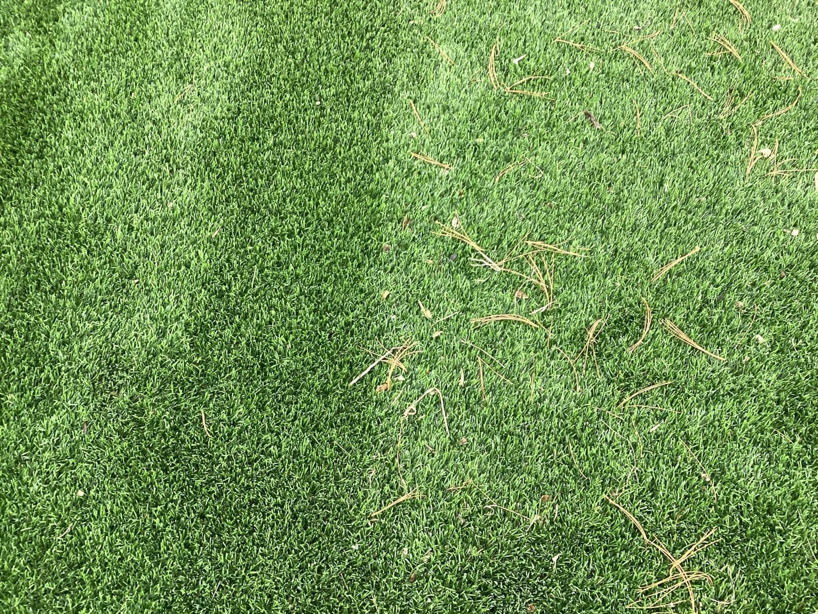 Roll & Comb 302E Artificial Grass Sweeper, Corded Electric, 25L collector for leaves and debris, Ideal for routine turf maintenance, 1-year warranty customer photo 2