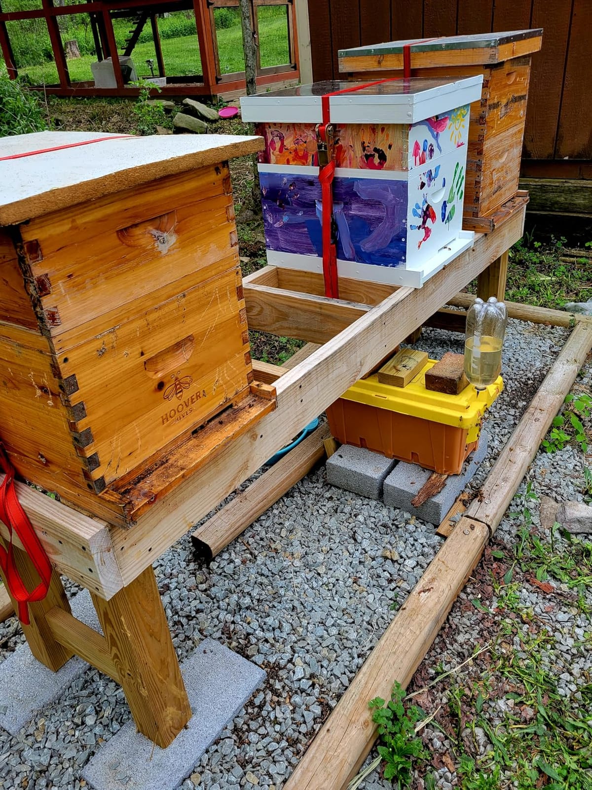 POLLIBEE Bee Hive, 10 Frame Beehive Boxes Starter Kit, Langstroth Beehives Include 2 Deep Hive Boxes and 1 Medium Super Bee Box, Include Bee Hive Frames and Wax Foundation Sheets customer photo 2
