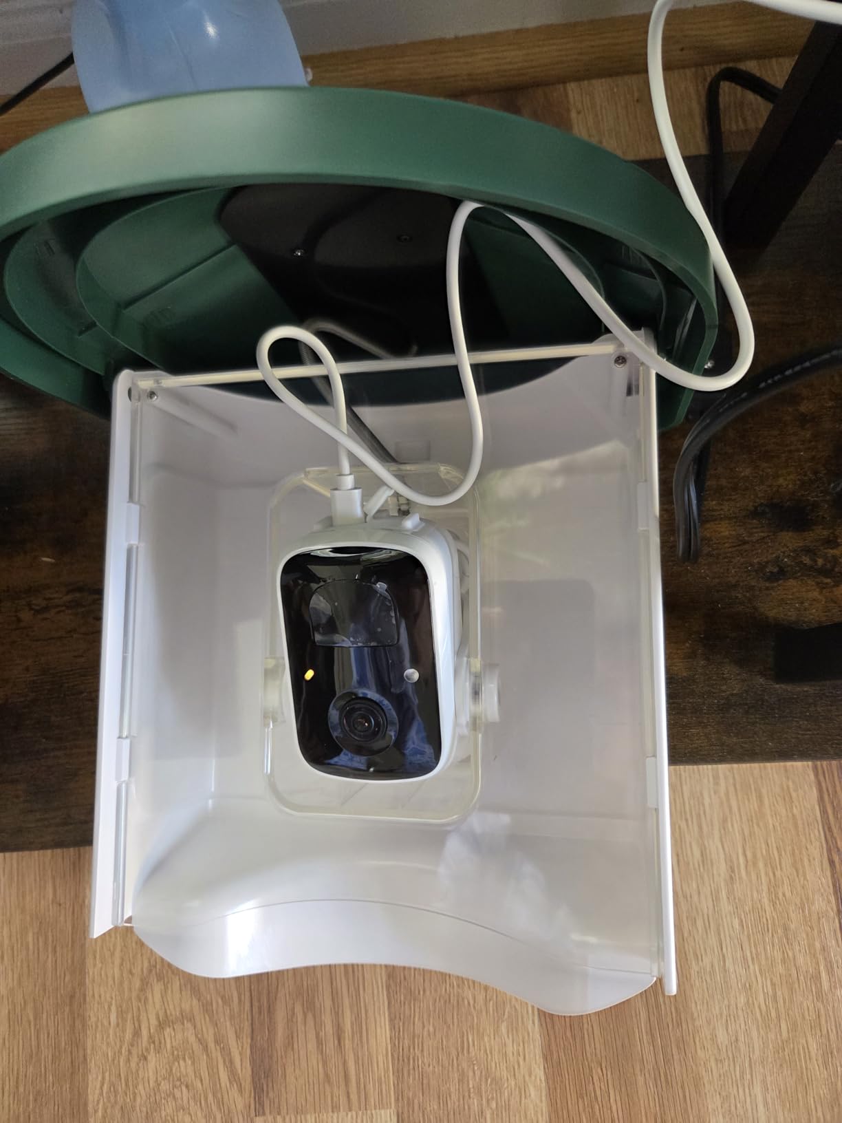 HARYMOR Smart Bird Feeder with Camera - AI Identify Birds Species, Solar Powered Bird House with Cam, 2L Large Capacity, 2K HD Video Live Stream, Instant Arrival Alerts - Green customer photo 2