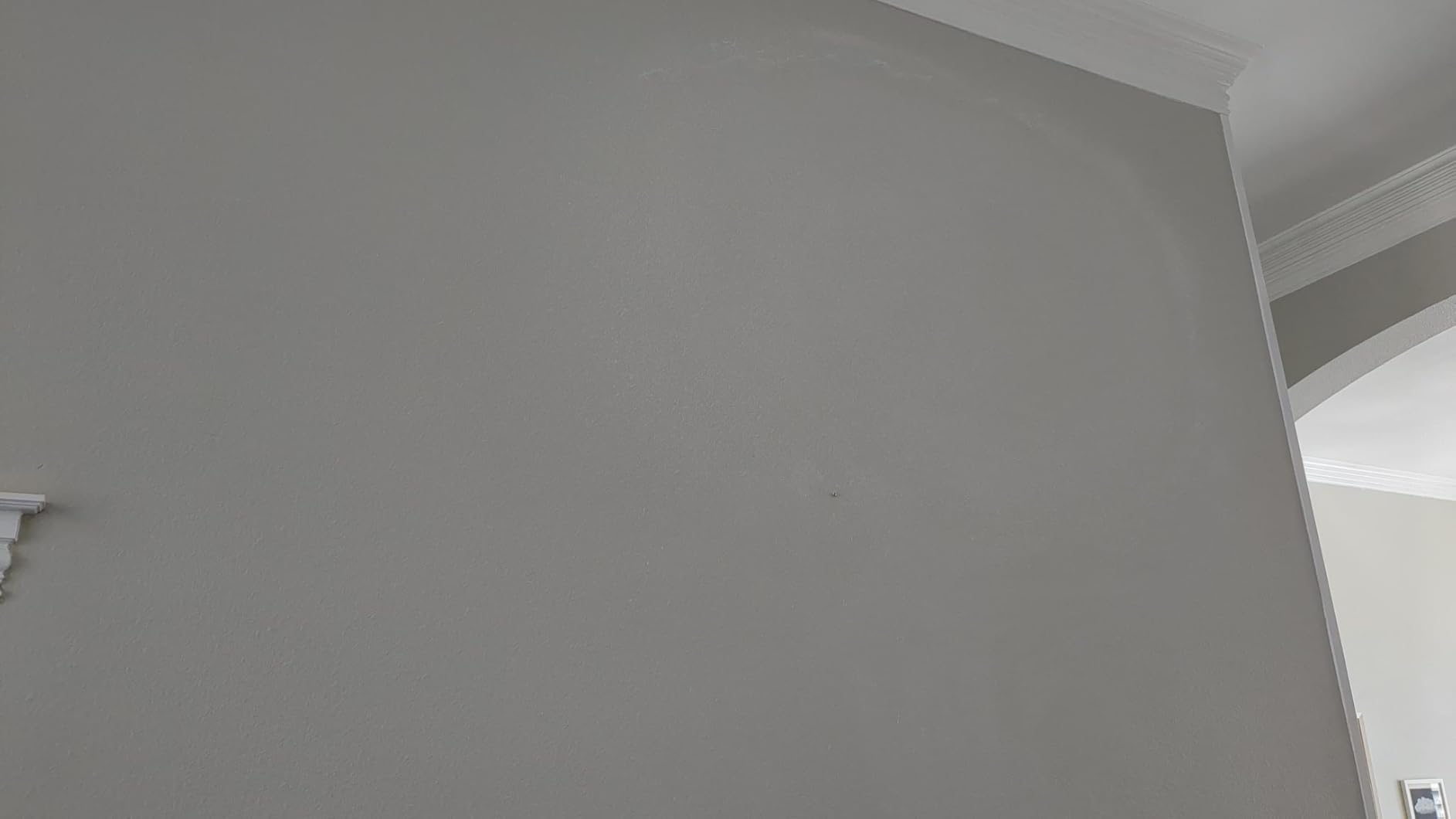 Texture Drywall Sprayer, Air Hopper Spray Guns Paint with 1.5 Gallon Hopper Includes 3 Nozzles (4.0mm/6.0mm/8.0mm) Air Texture Gun for Walls, Ceiling, Stucco Mud, Knockdown customer photo 1