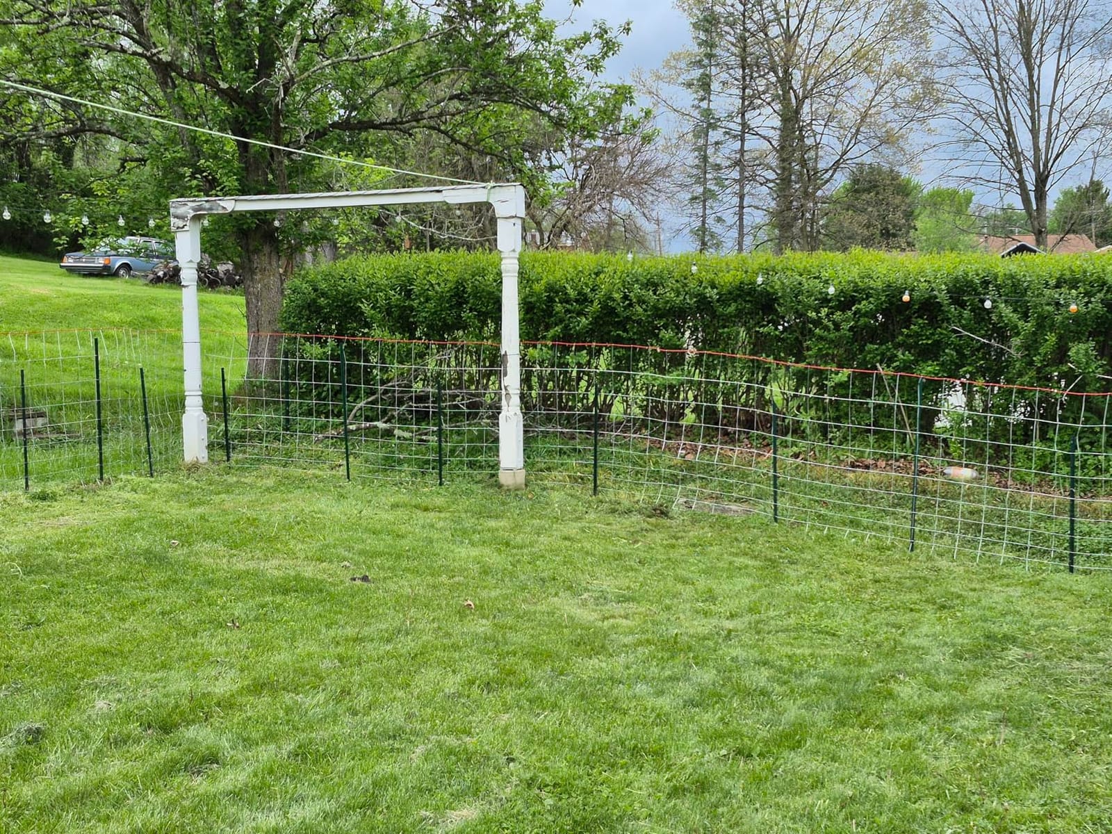Farm Fence 4ft x 164ft Heavy Zinc Coating Cattle Fence Galvanized Field Fencing Sheep Fence Goat Fence, Hog Wire Fencing for Yard Livestock Animals Protection customer photo 2