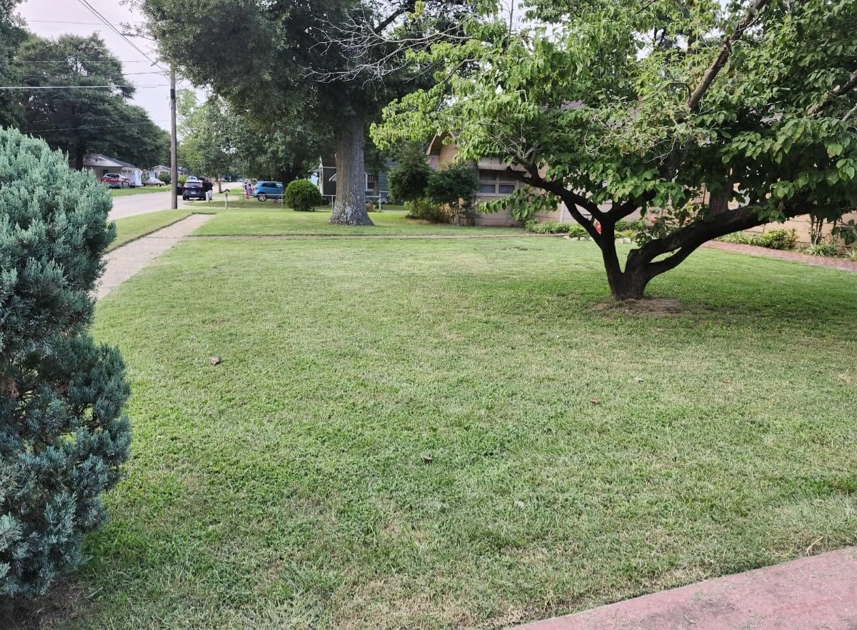 Greenworks 80V 21in Self-Propelled Lawn Mower, 4.0 Ah Battery and Charger customer photo 2