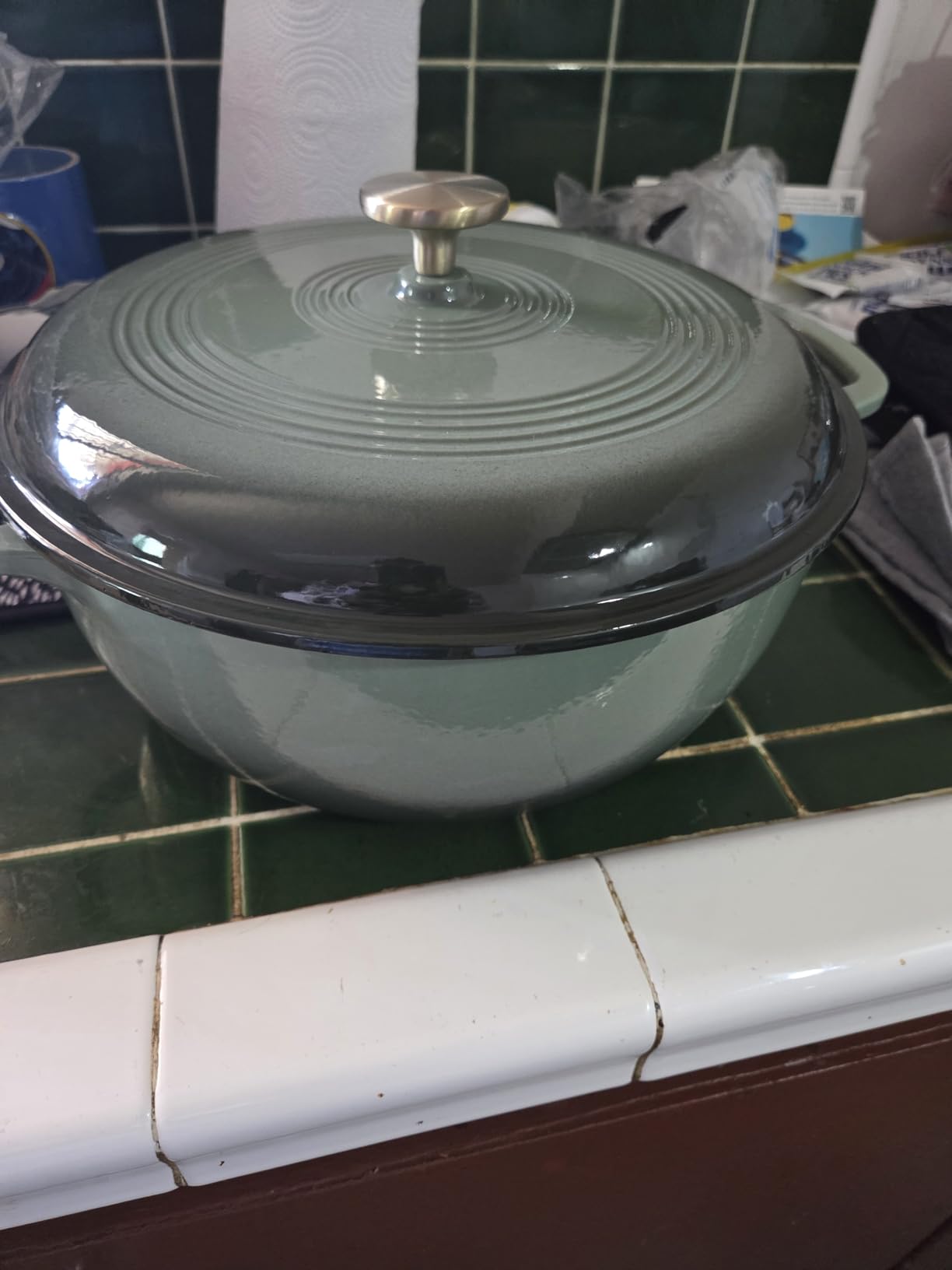 Best Choice Products 7.5 Quart Enamel Cast-Iron Round Dutch Oven, Family Style Heavy-Duty Pre-Seasoned Cookware for Home, Kitchen, Dining Room, Oven Safe w/Lid, Dual Handles - Sage Green customer photo 2