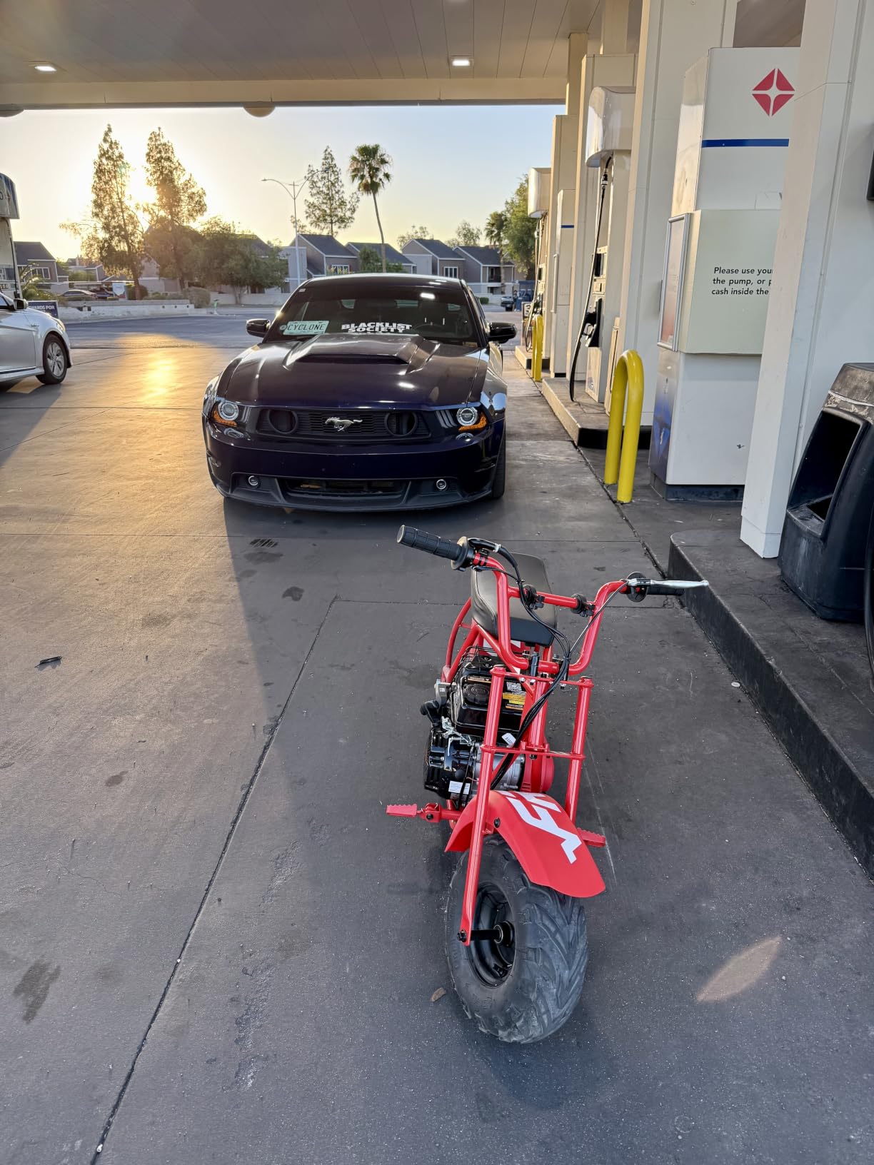 FRP Mini Dirt Bike GMB100, 99 CC Gas Powered Mini Bike 4 Stroke 3HP, Off Road Mini Bikes for Teens and Adult, Trail Bike Up to 28 Mph, Weight Support Up to 220 LBS (Black) customer photo 2