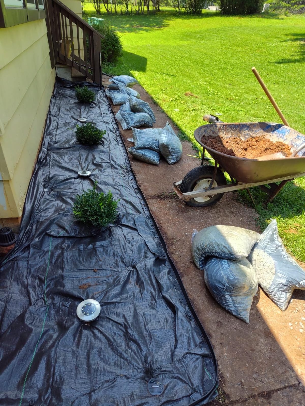 Garden Edging, 100FT Landscape Edging with 60 Spikes for Lawn 1.5 Inch Tall (Black, 100FT), YANEYRIE-EDGING-1.5 customer photo 2