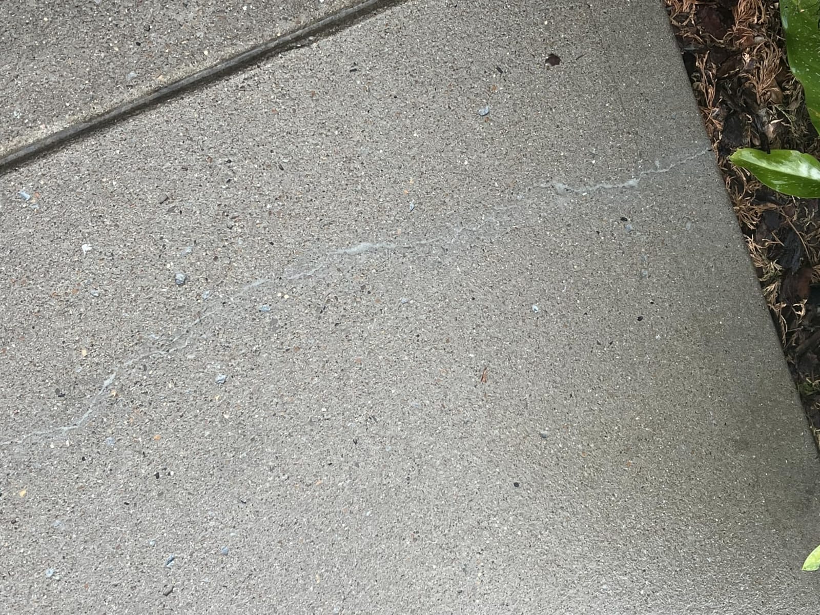 Magic Crack Filler 2.5LB Concrete Slab Gray, for Filling in Concrete Cracks on Driveways, Walkways and Patios. Installs Easily Dry Granular No Mess and DIY (Gray, 1) customer photo 1