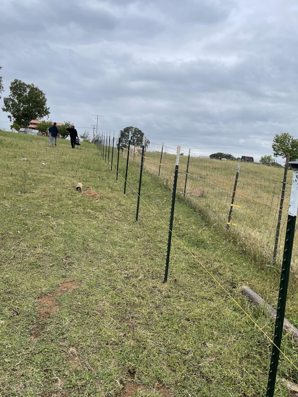 2200W Electric T Post Driver with 2 Sleeves (55/70mm), 110V | 2100BPM, 85J Impact, 2 Sleeves (55/70mm), Ergonomic Handle, for Metal Fencing, Landscaping, and DIY Projects customer photo 1