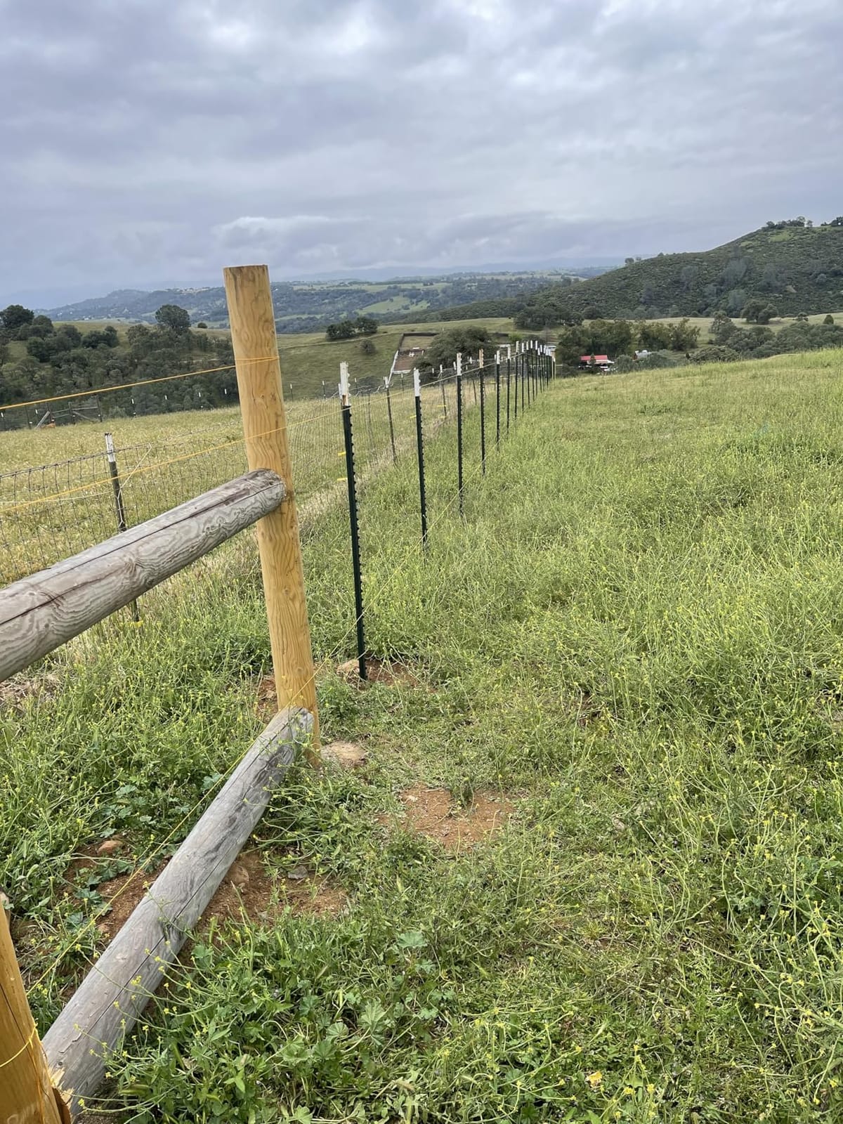 2200W Electric T Post Driver with 2 Sleeves (55/70mm), 110V | 2100BPM, 85J Impact, 2 Sleeves (55/70mm), Ergonomic Handle, for Metal Fencing, Landscaping, and DIY Projects customer photo 2