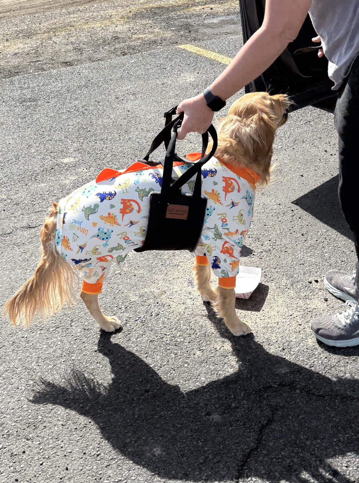Adjustable Dog Lifting Harness, Large Dog Hind Leg Support Sling | Ultra-soft, Strong and Durable, Providing Stable Support for Dog Cruciate Ligament Rehabilitation and Post-operative Recovery customer photo 1