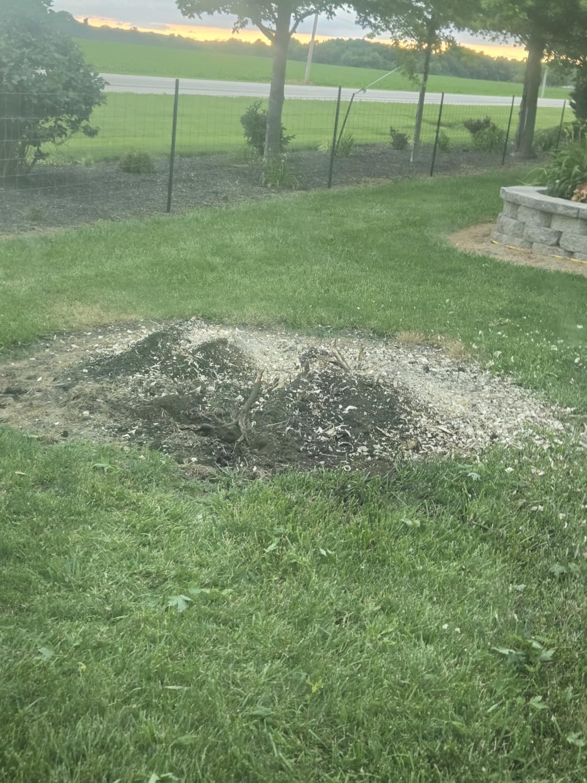 MechMaxx Heavy Duty PTO Powered Stump Root Grinder, Includes 12 Bonus Teeth customer photo 2