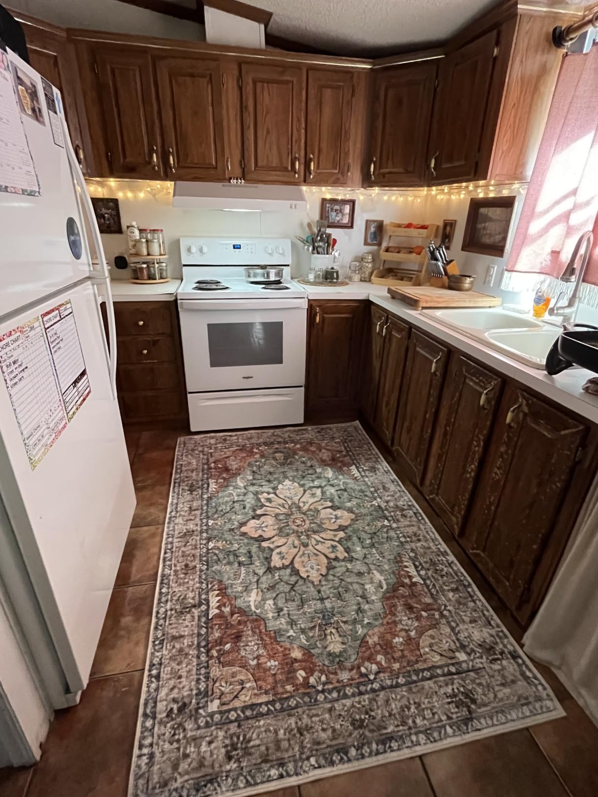 RELEANY Washable Area Rug, Large 10'x14', Brick/Brown/Green | Non-Slip, Water Repellent, Pet Friendly, Easy to Clean, Vintage Floral Boho Decor for Living Room Bedroom Dining Room customer photo 1