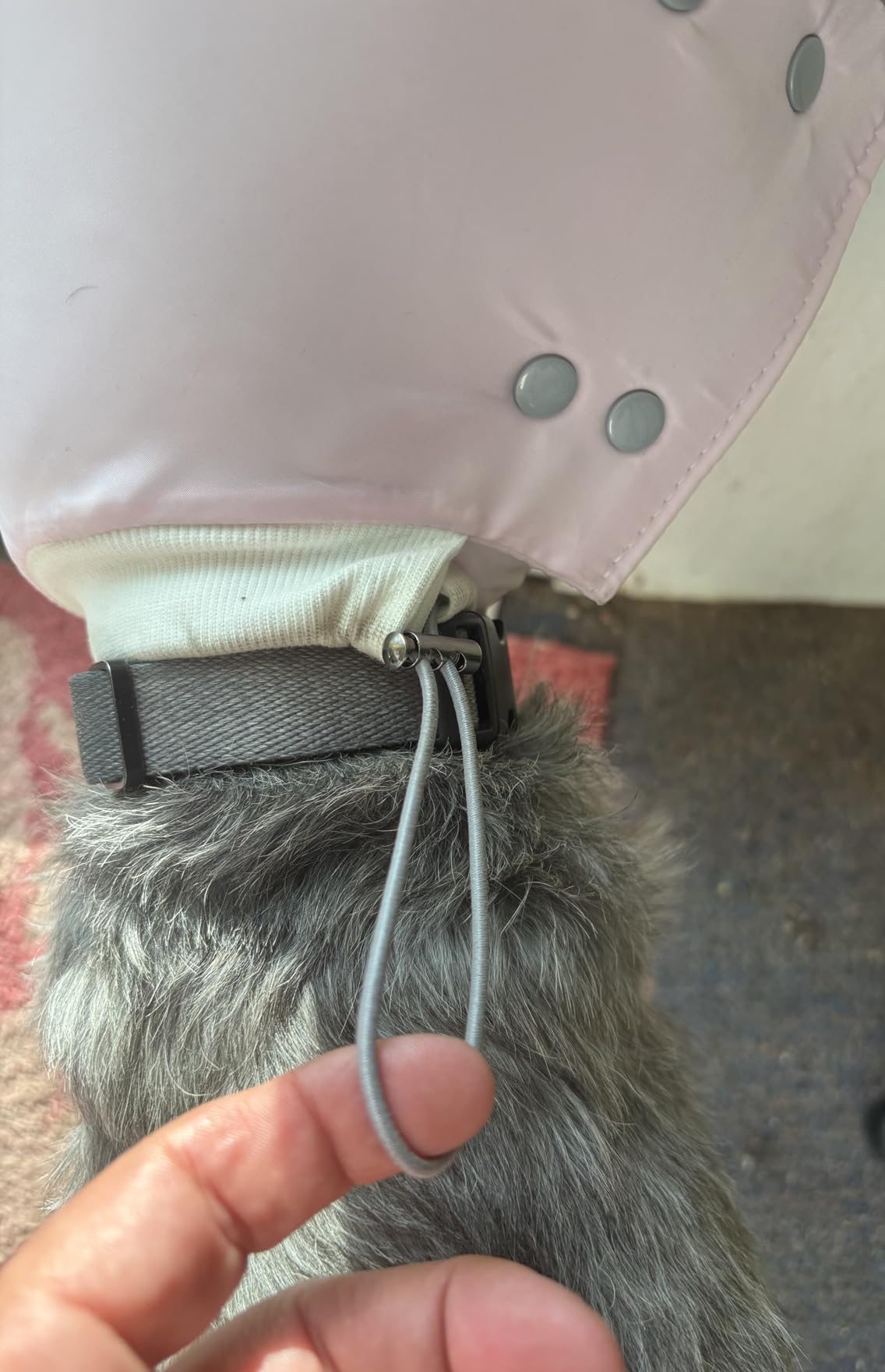 Agape Soft Dog Cone for Small Dogs & Cats, Recovery Collar to Stop Licking | Comfy E Collar Alternative for Puppies, Adjustable Cloth Cone After Surgery, Protective Neck Cone for Kittens, Washable customer photo 1