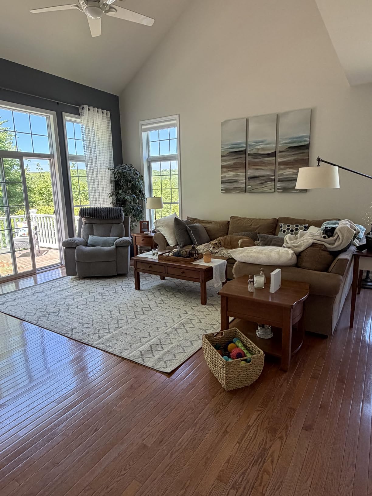 JONATHAN Y Boho Vintage Diamond Cream/Gray Indoor Area Rug 10X14 ft, Moroccan Hype for Living Room, Bedroom, Kitchen, Office, Easy-Cleaning, High Traffic, Pet-Friendly, Non-Shedding (MOH101B-14) customer photo 2